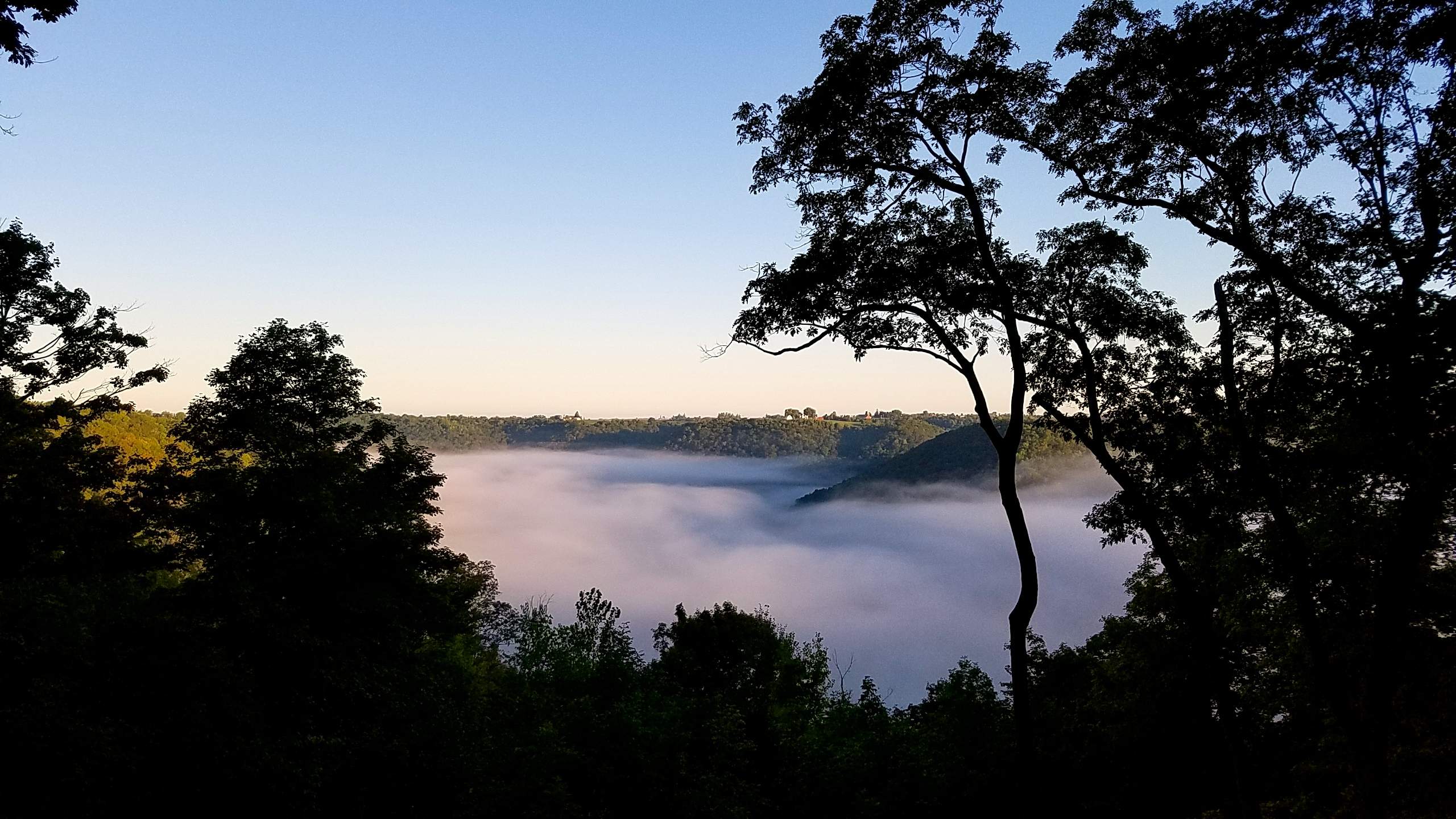 20160902_070410a copy.jpg