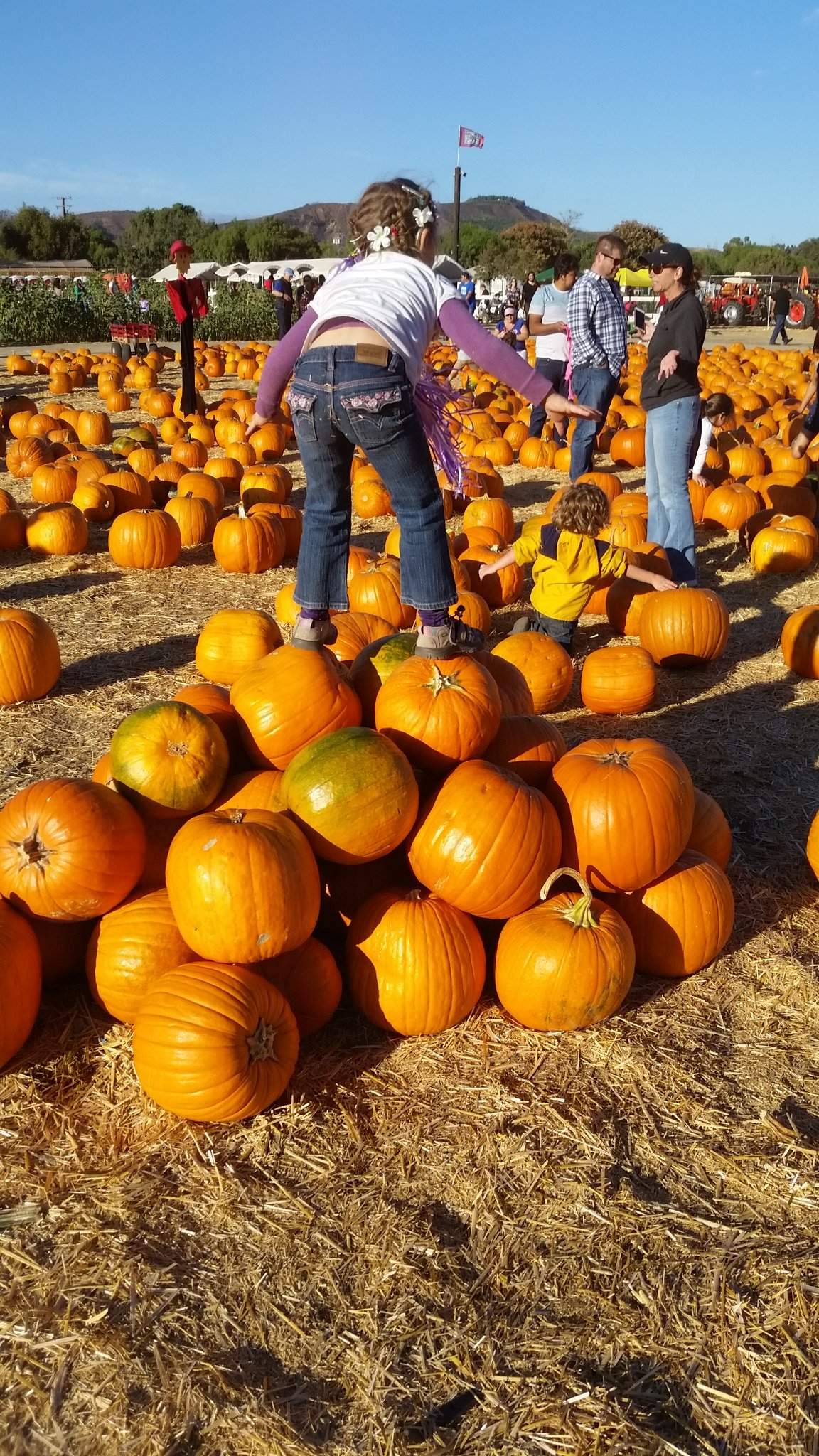 20161016_165757.jpg