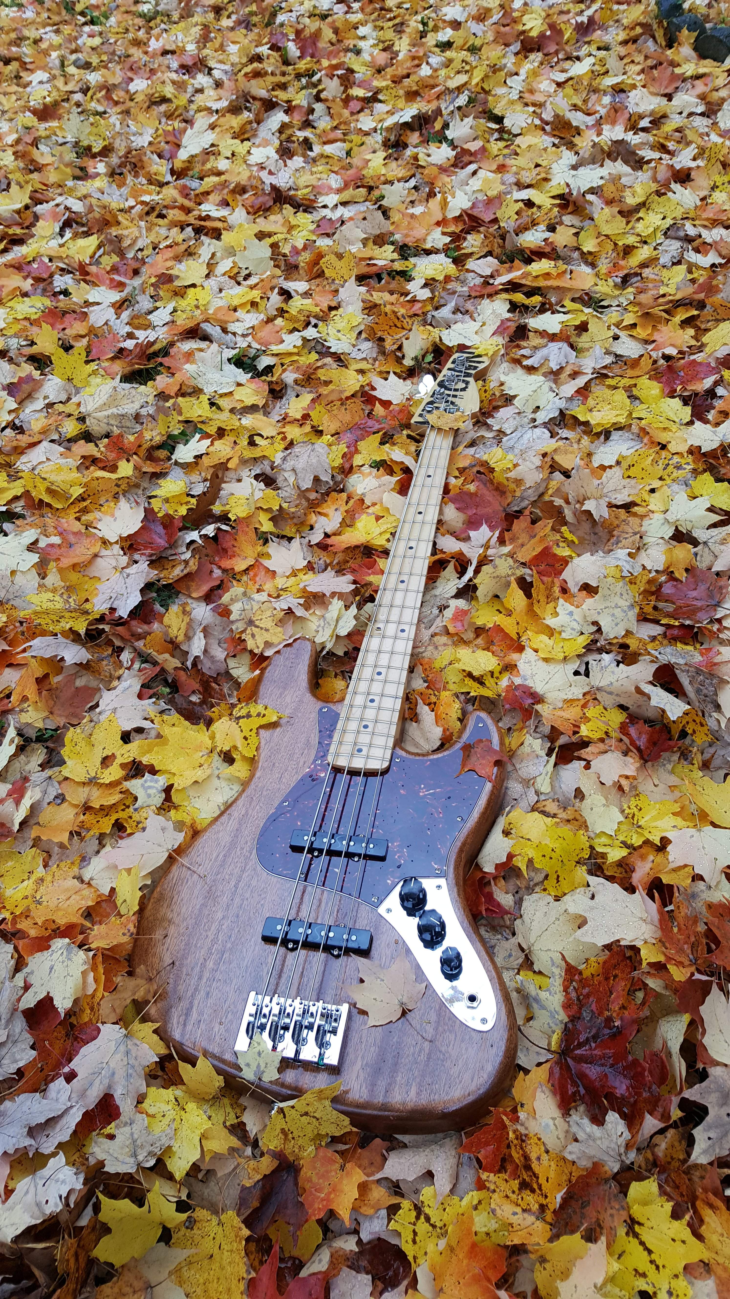 20161020_124534.jpg