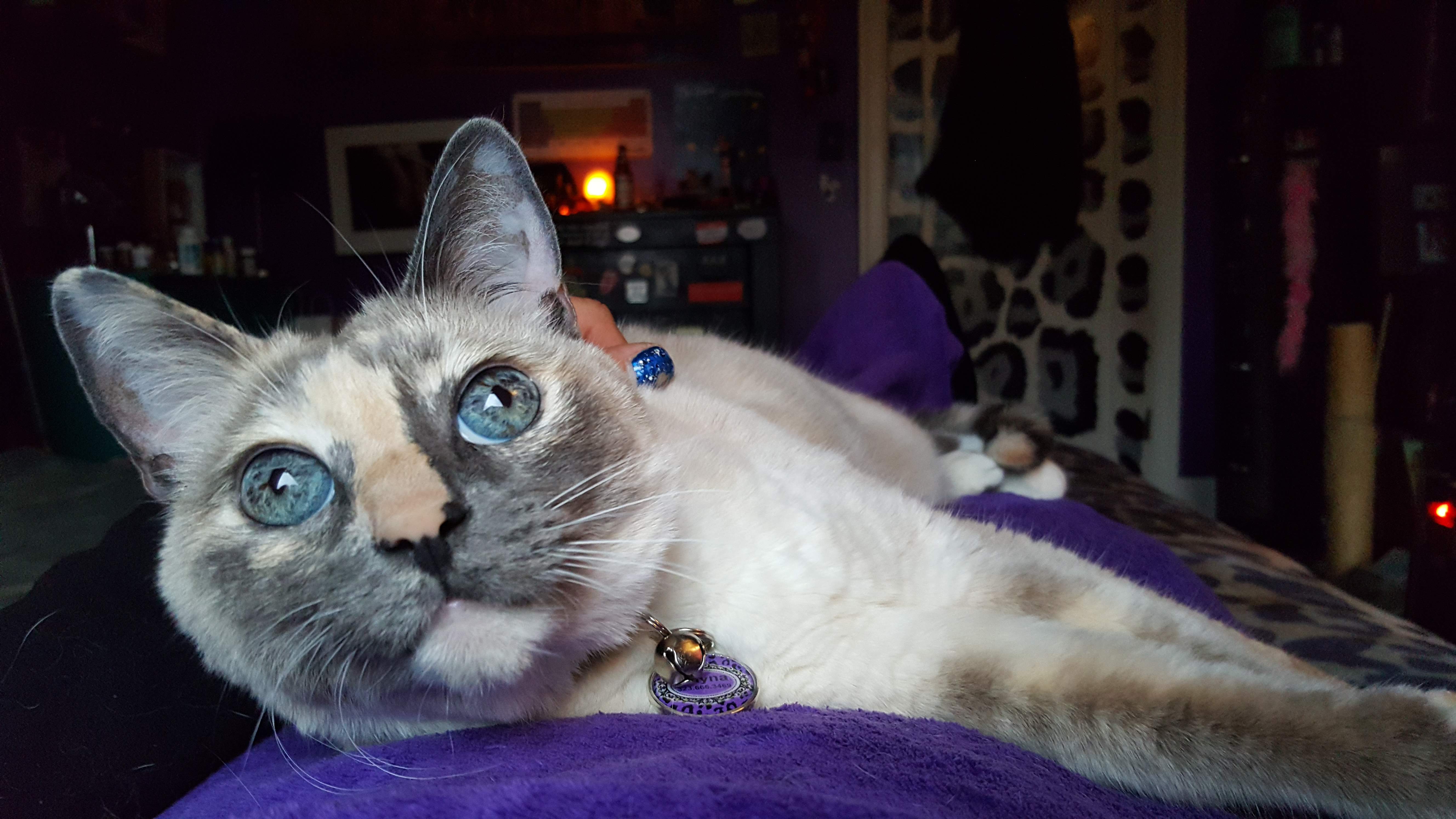20161021_173443.jpg