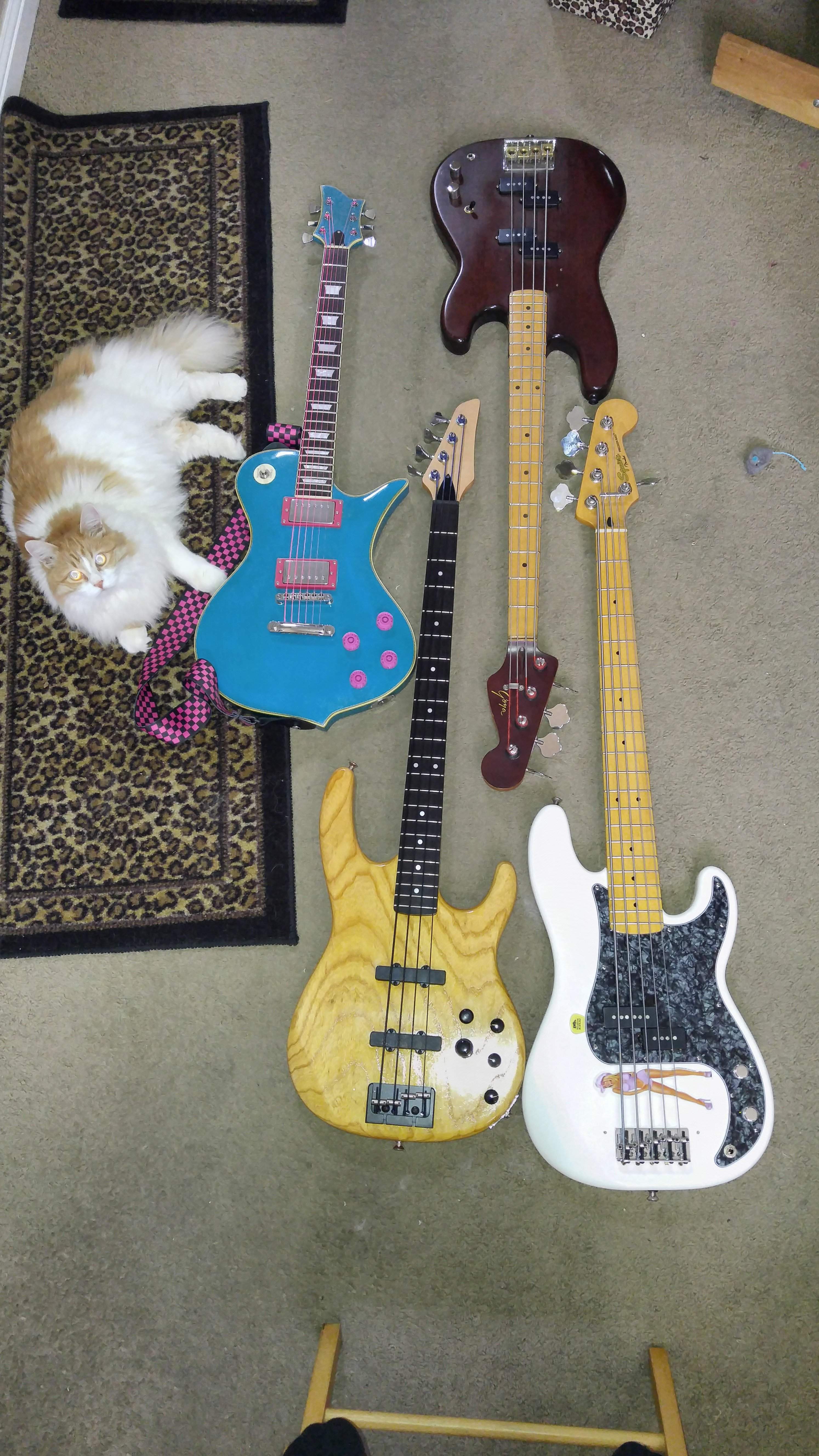 20161120_131147.jpg