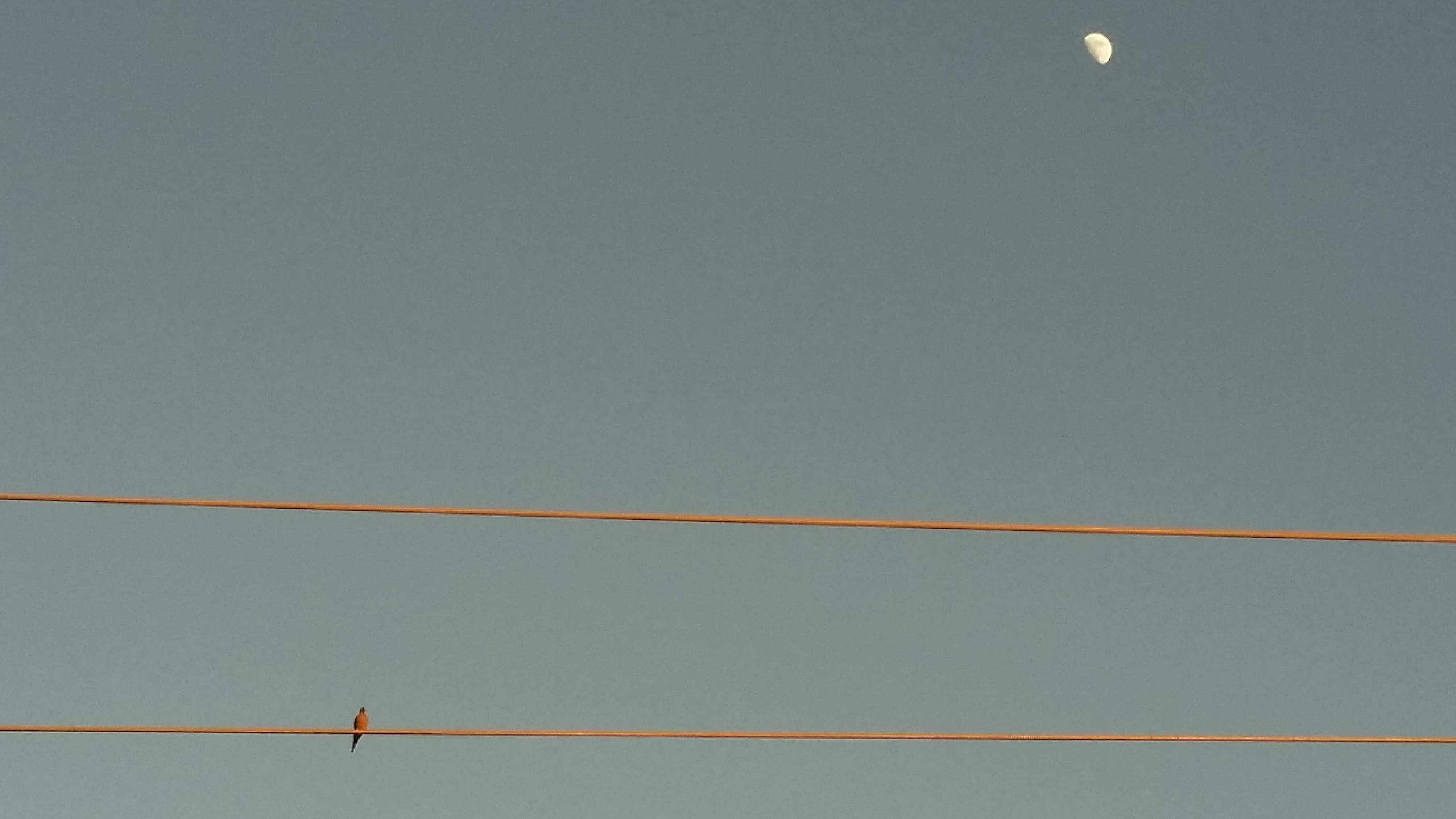 20161208_171109.jpg