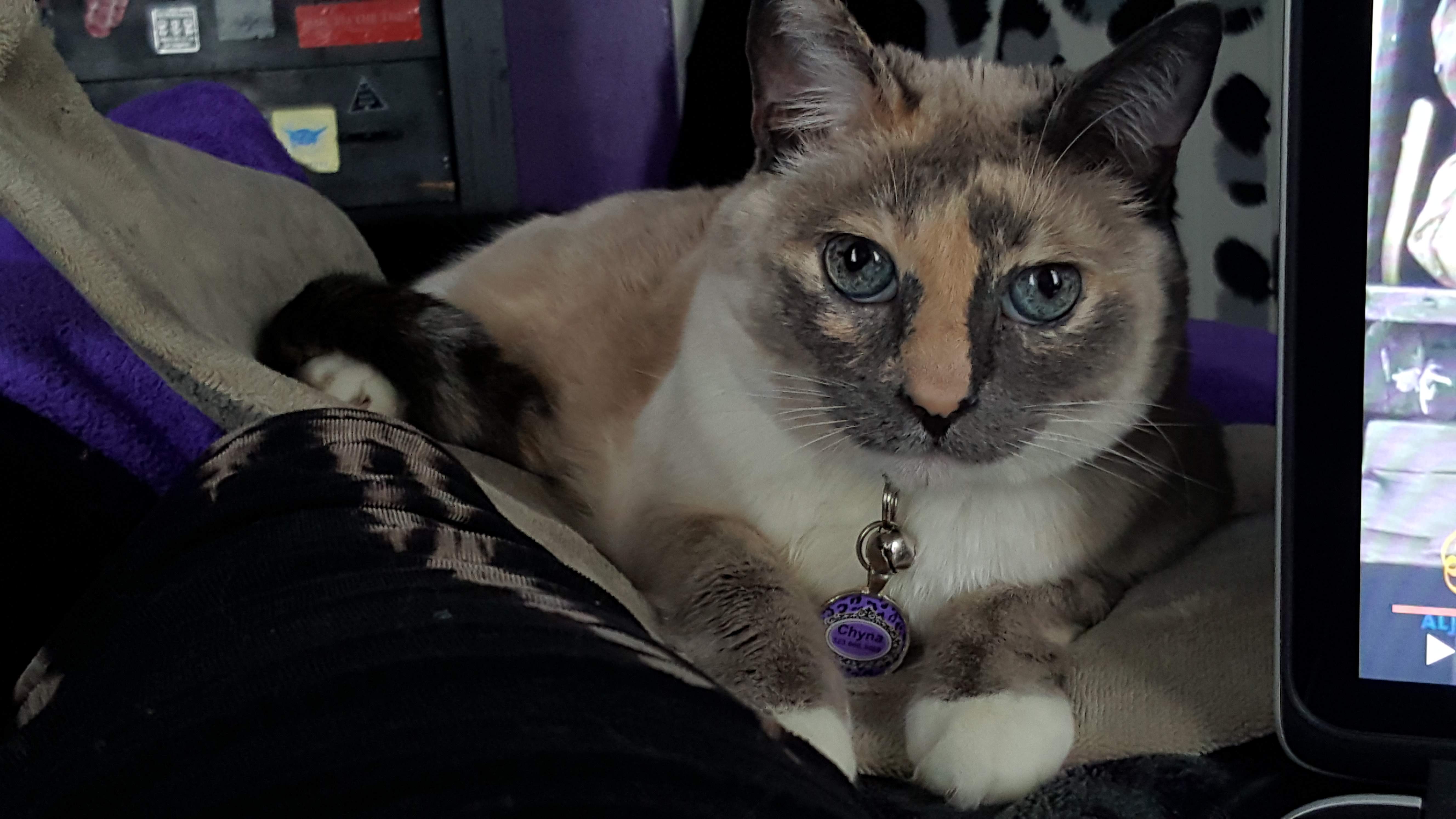20161219_141741.jpg