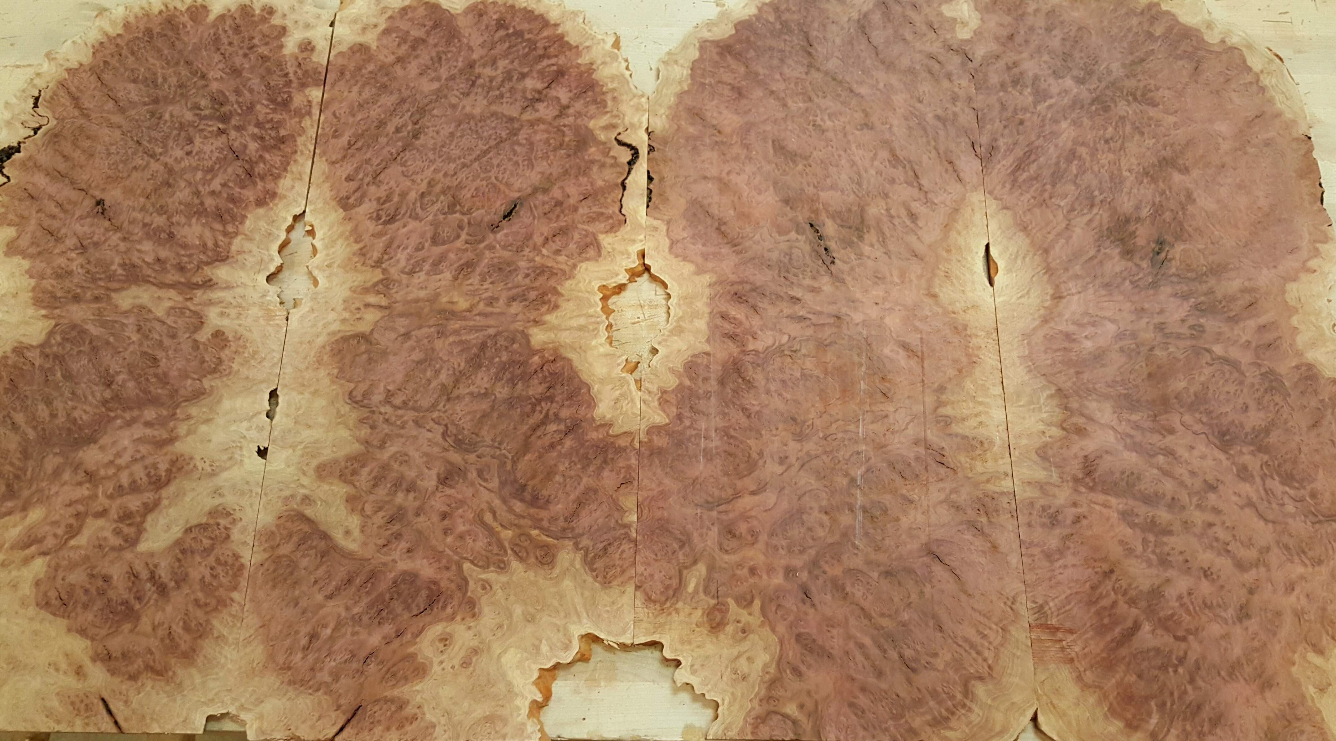 20161224_192145.jpg