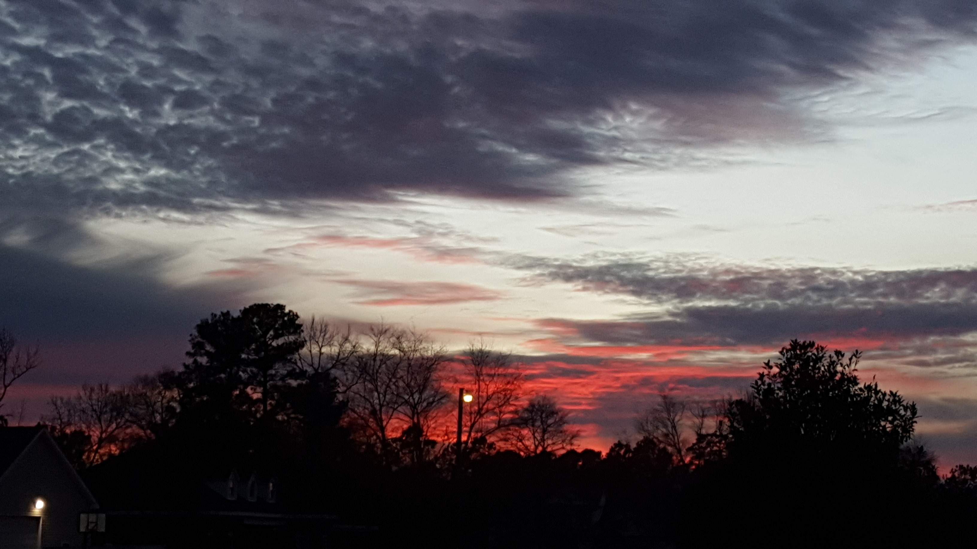 20170111_173115.jpg