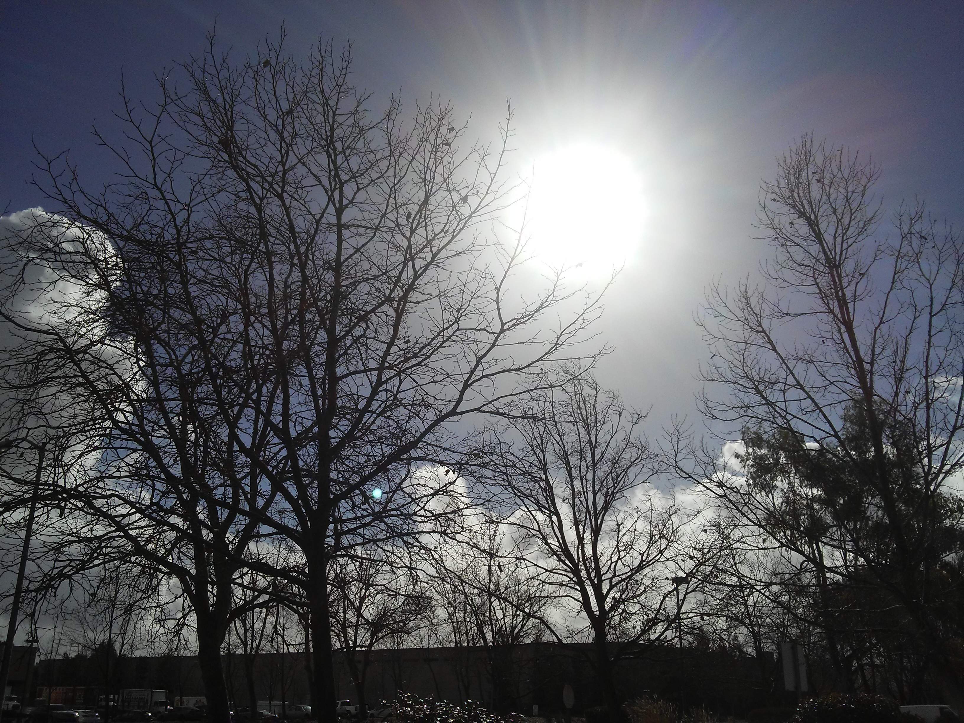 20170119_125452_Burst01.jpg