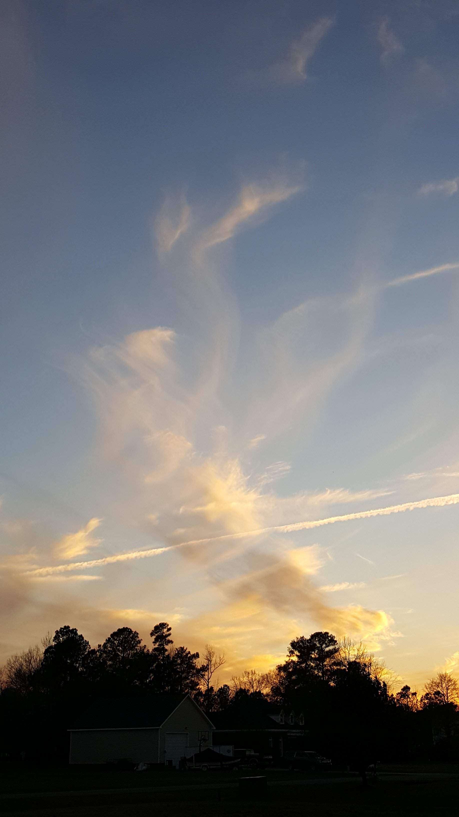 20170126_172845.jpg