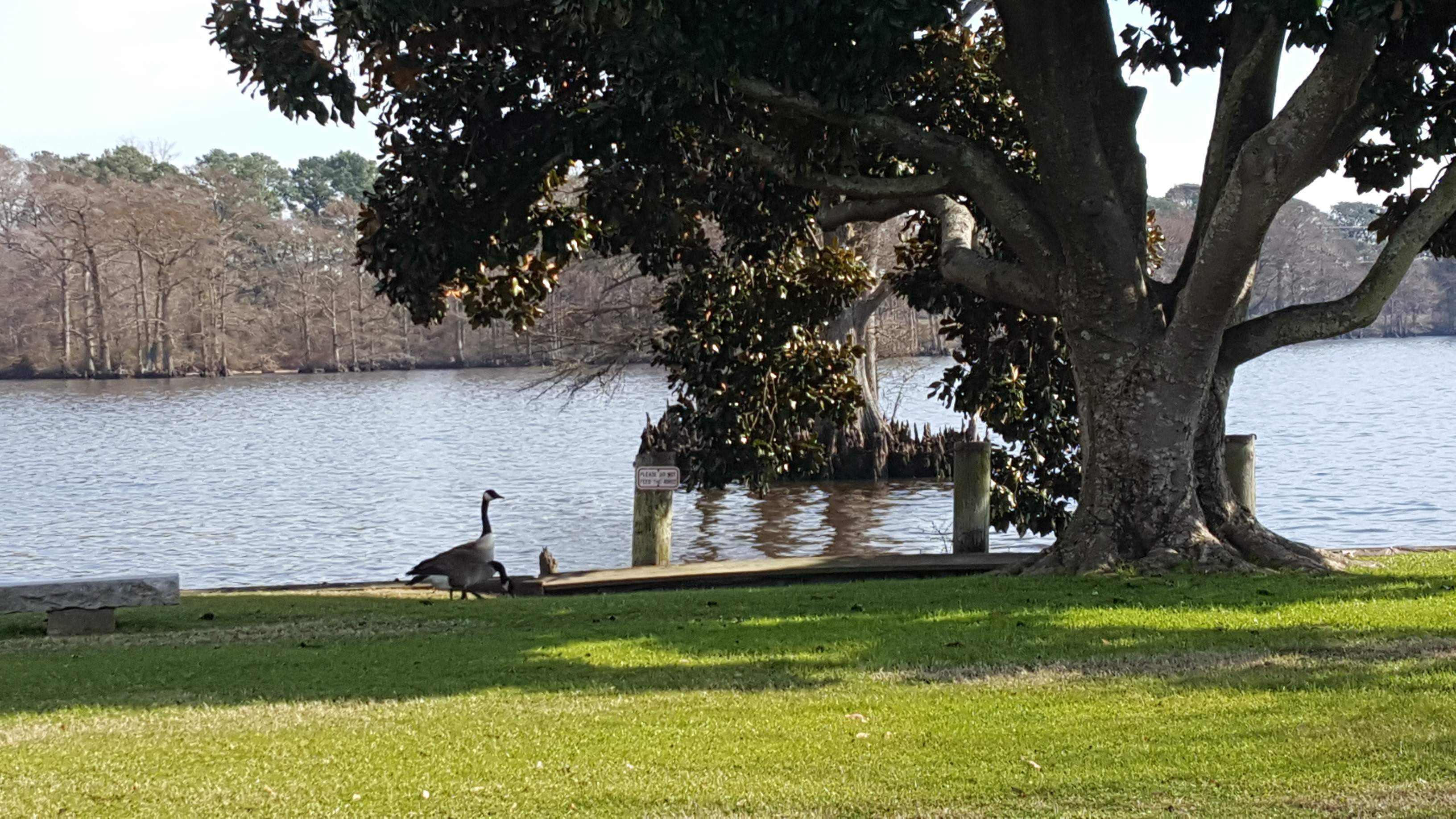 20170201_130748.jpg