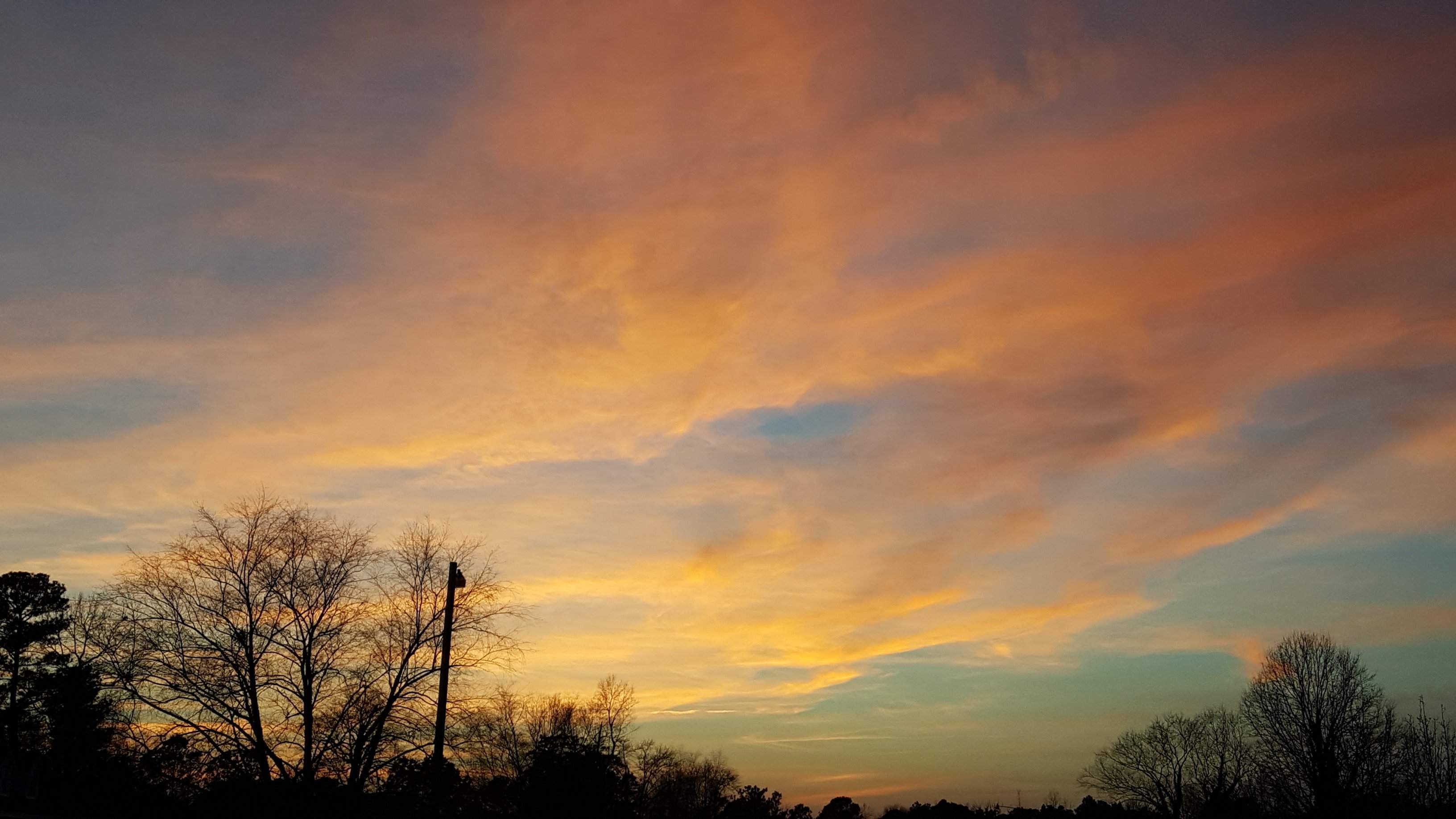 20170201_174704.jpg