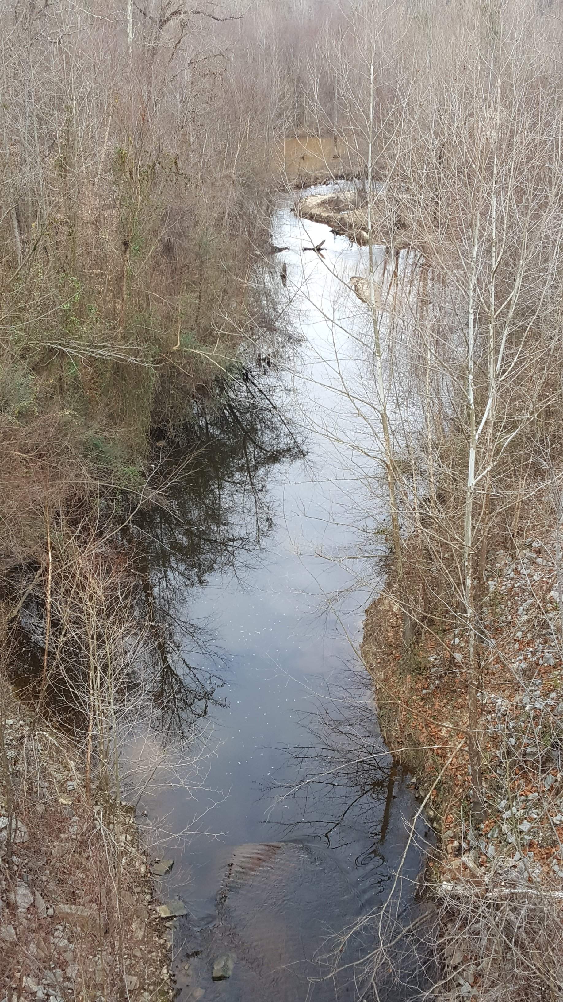 20170202_094321.jpg