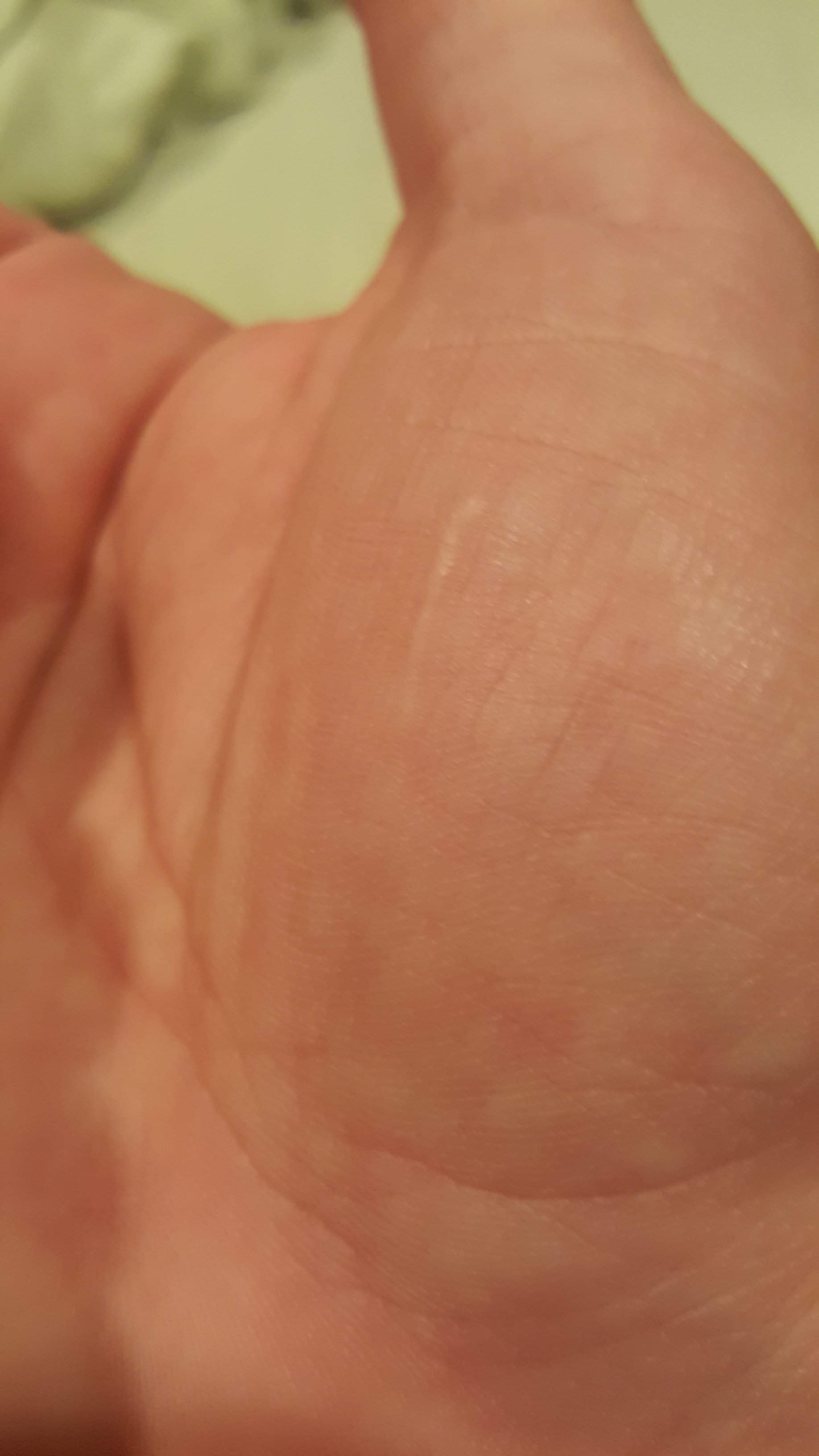 20170203_203759.jpg