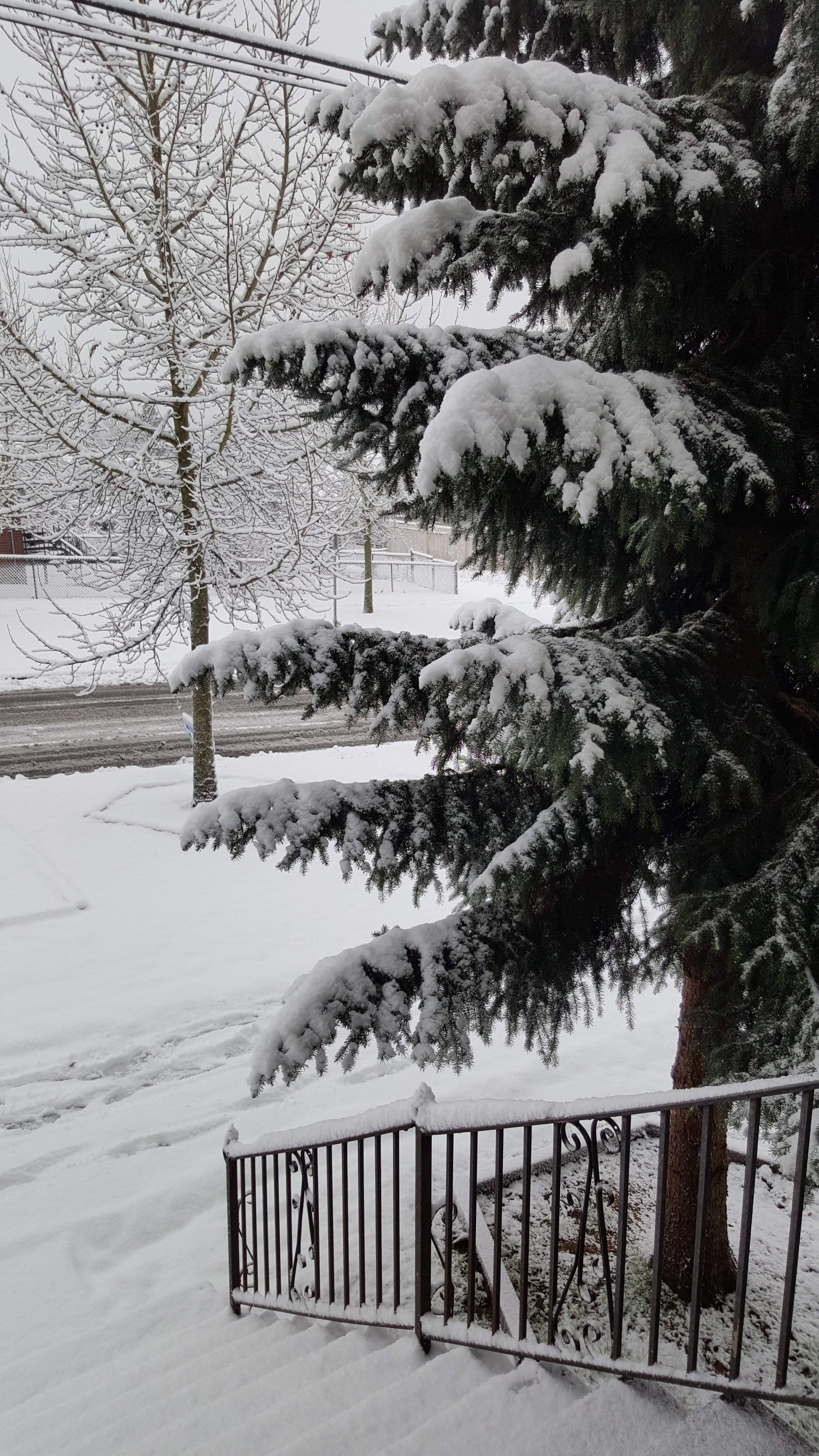 20170206_082352.jpg