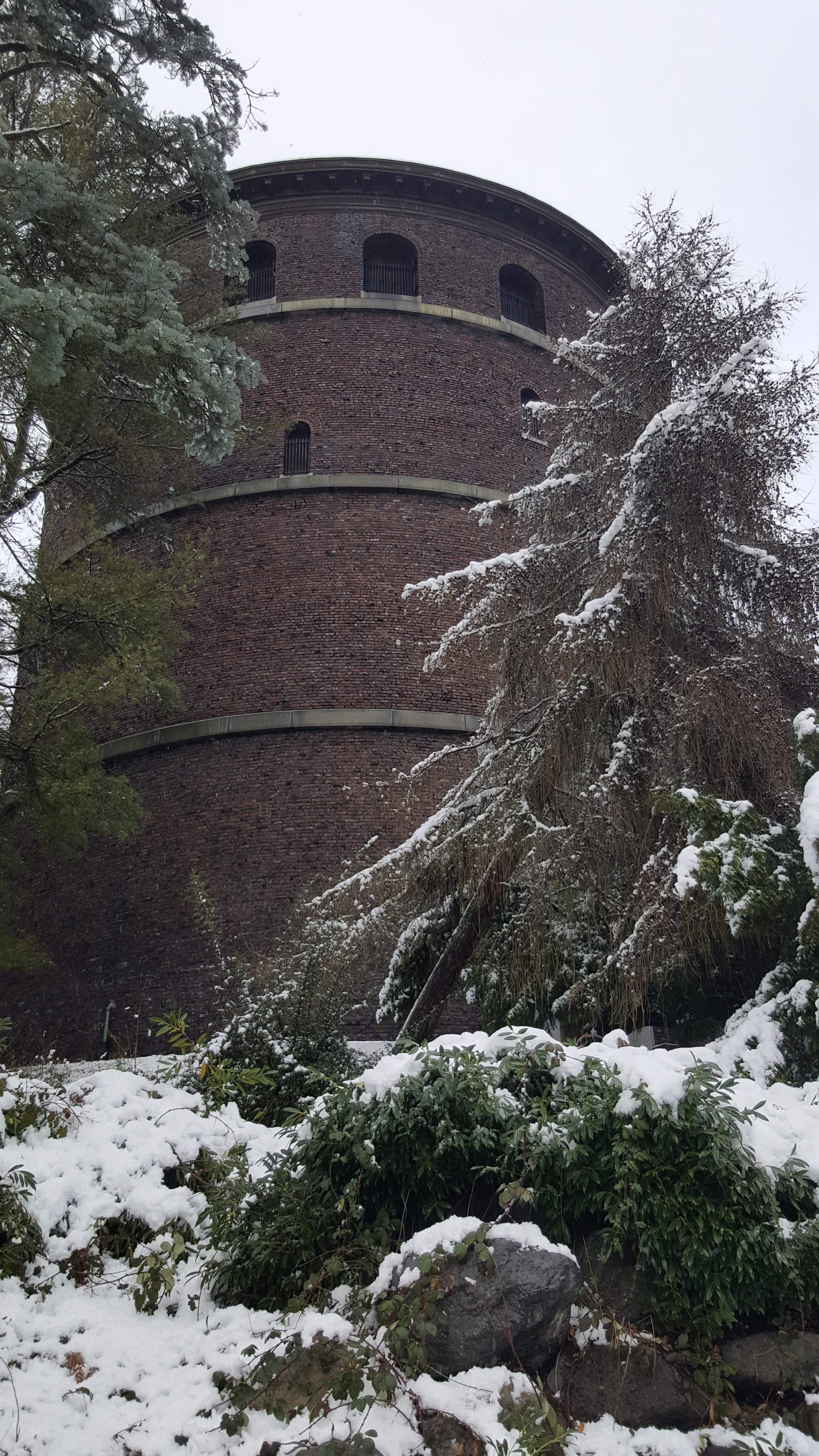 20170206_142303.jpg