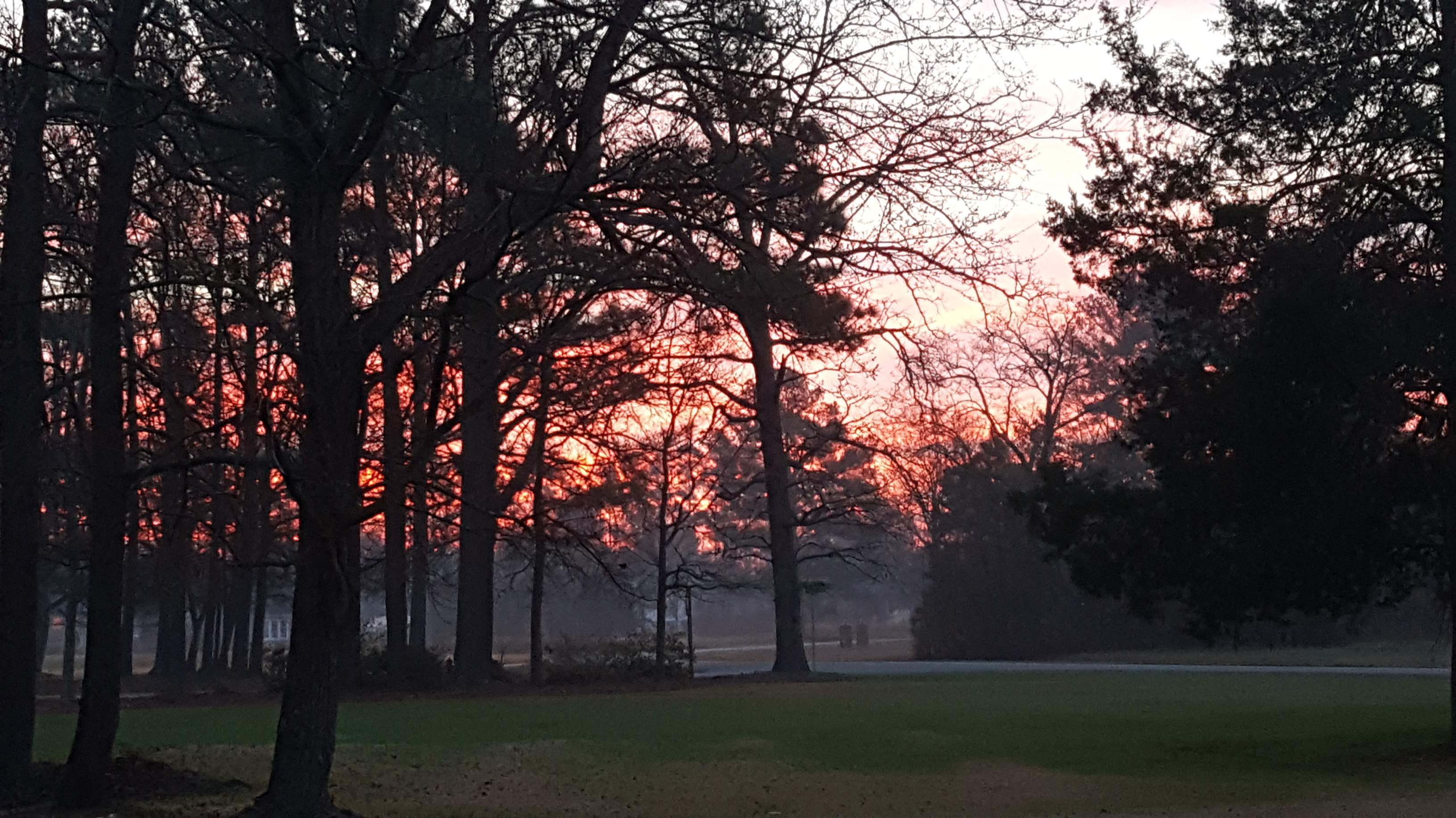 20170207_065136.jpg