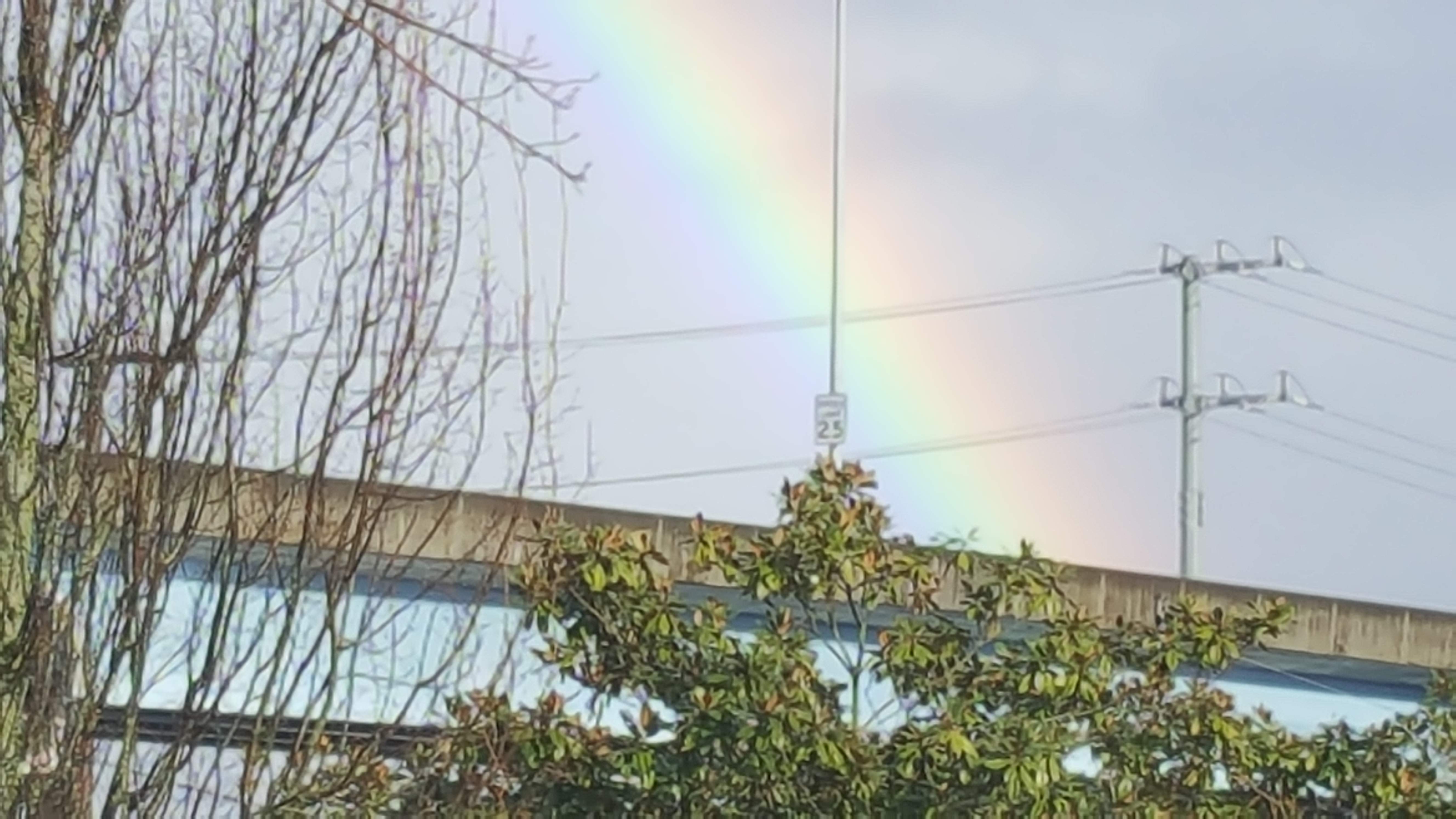 20170209_151827.jpg