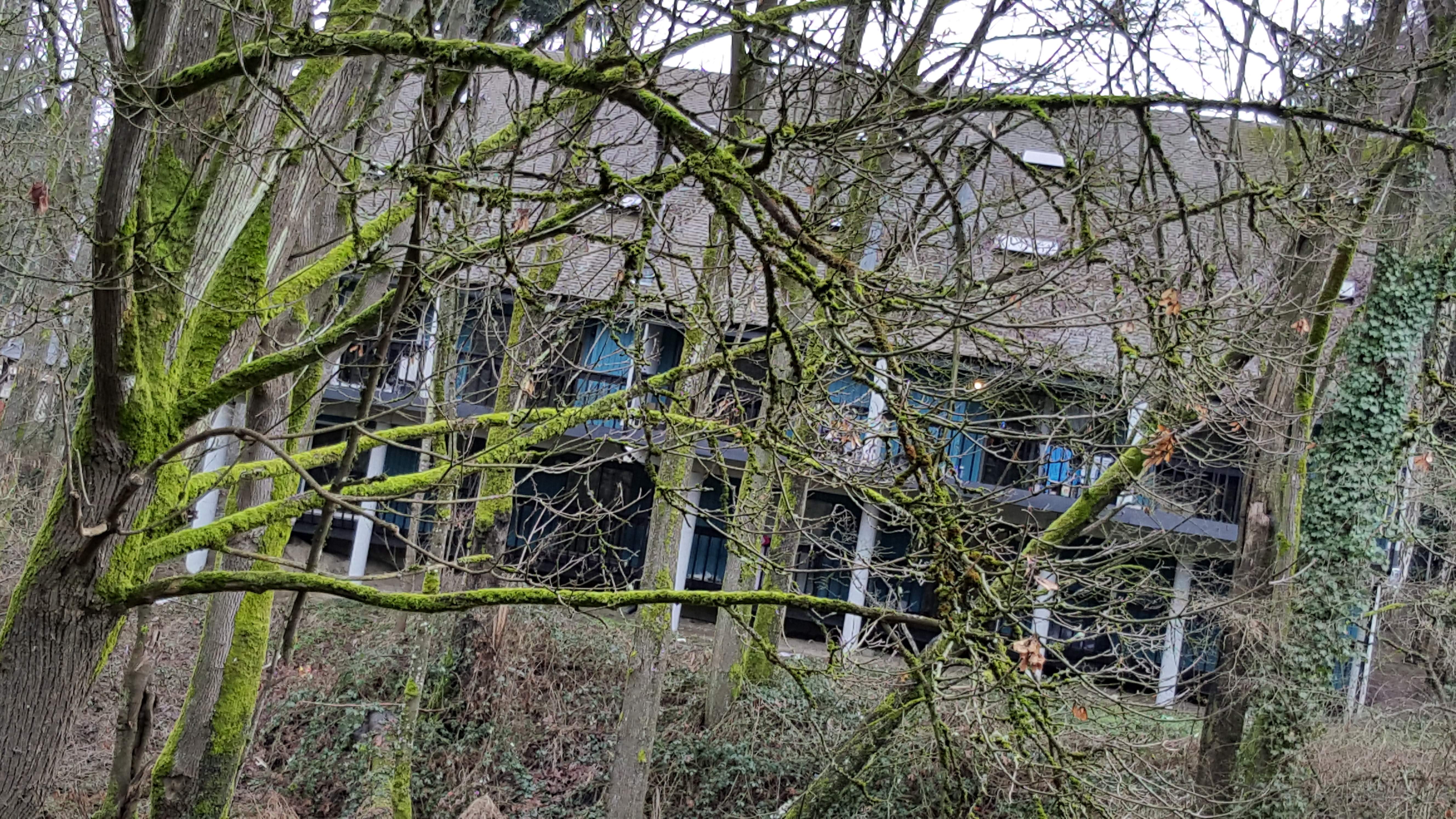 20170210_131819.jpg