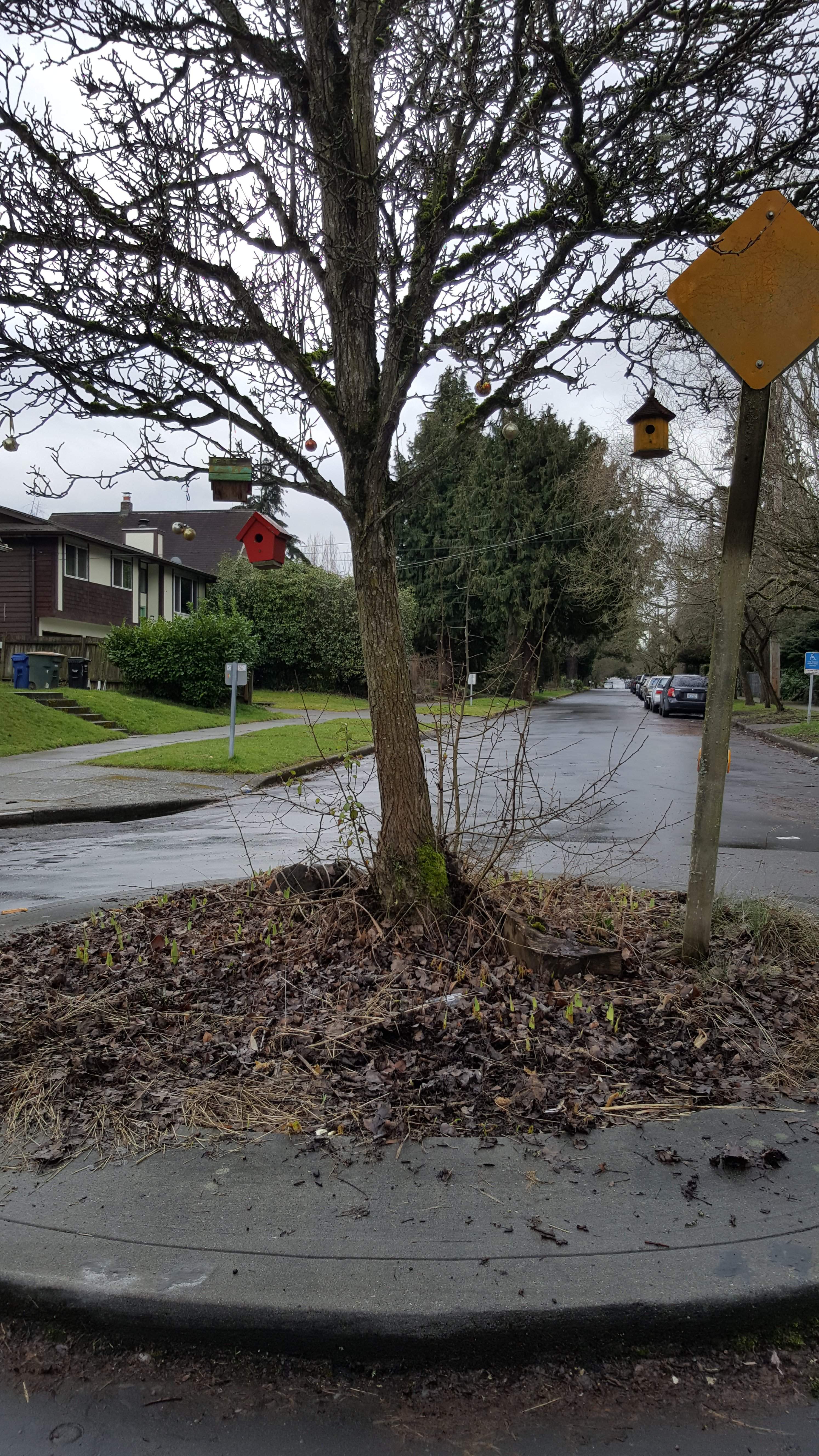 20170221_141758.jpg