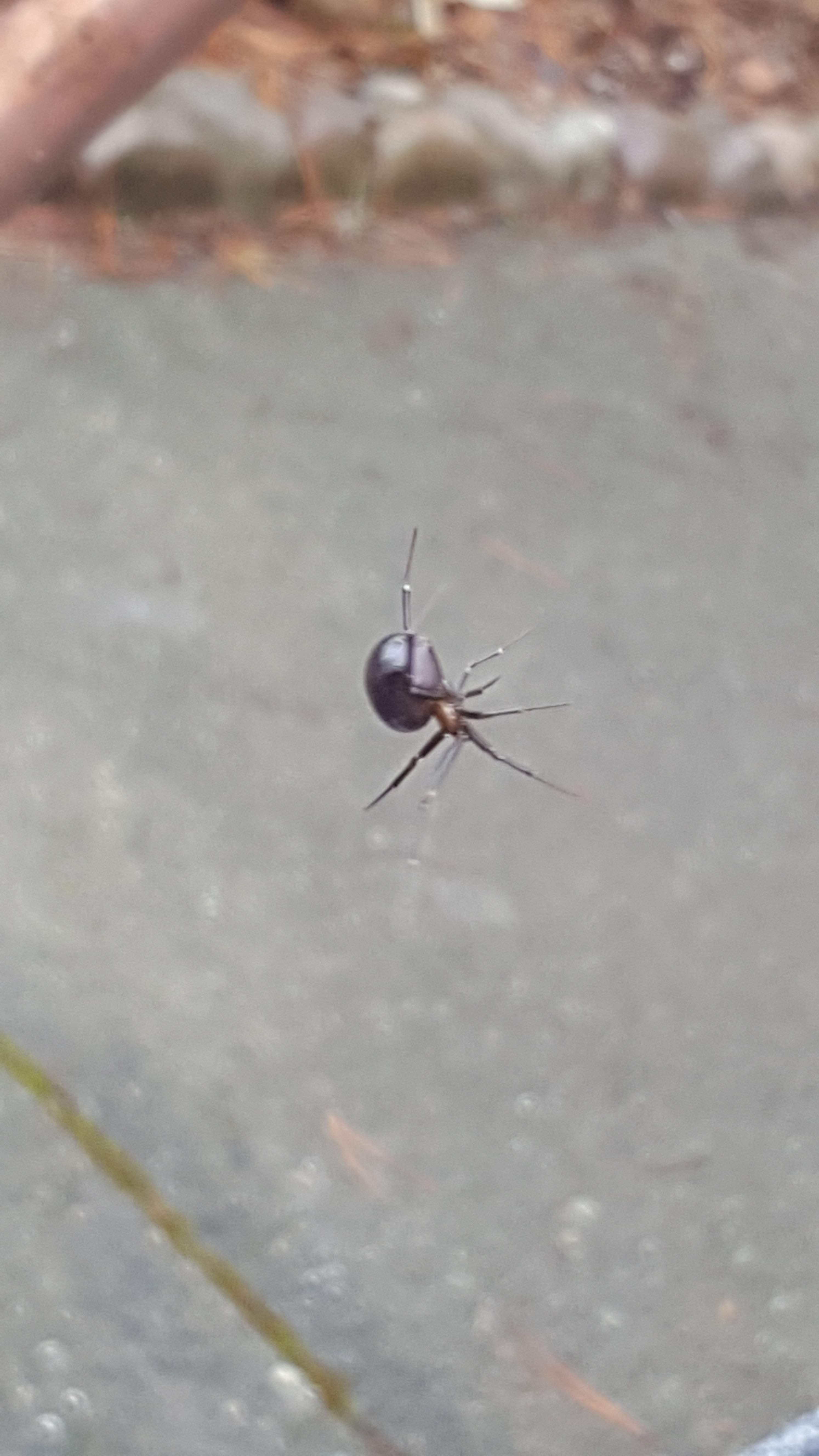 20170227_133106.jpg