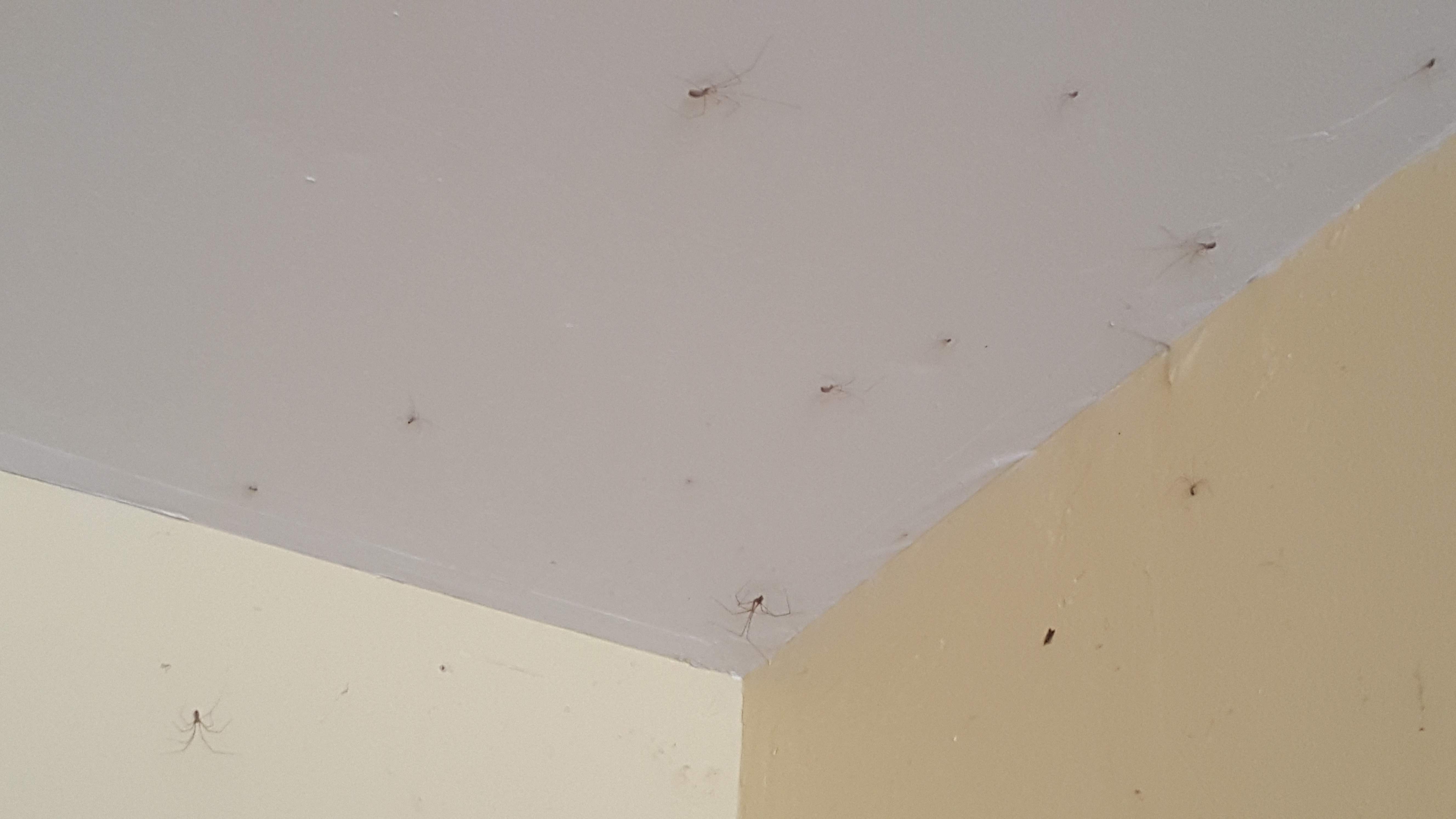 20170227_135028.jpg