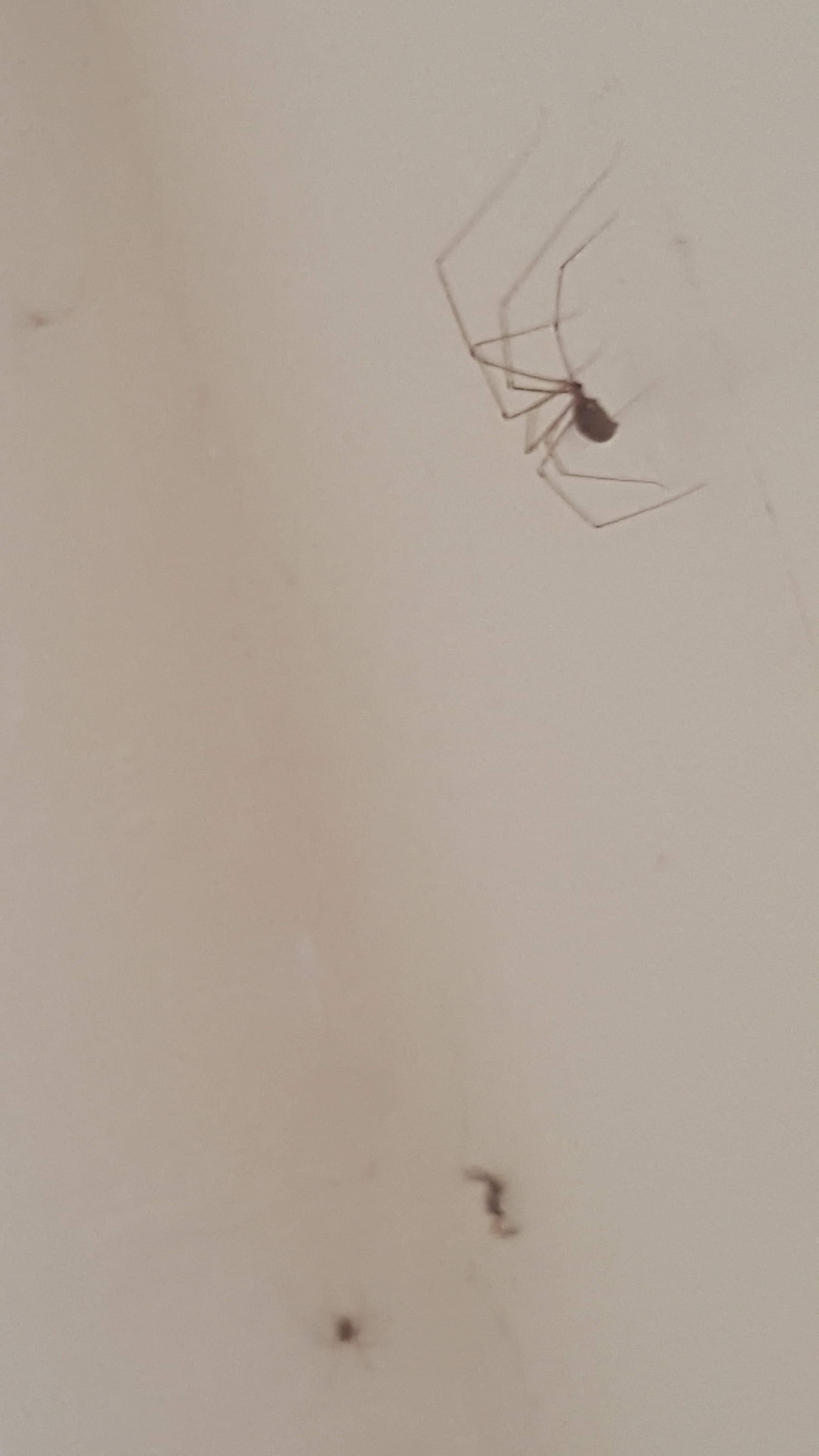 20170227_135044.jpg