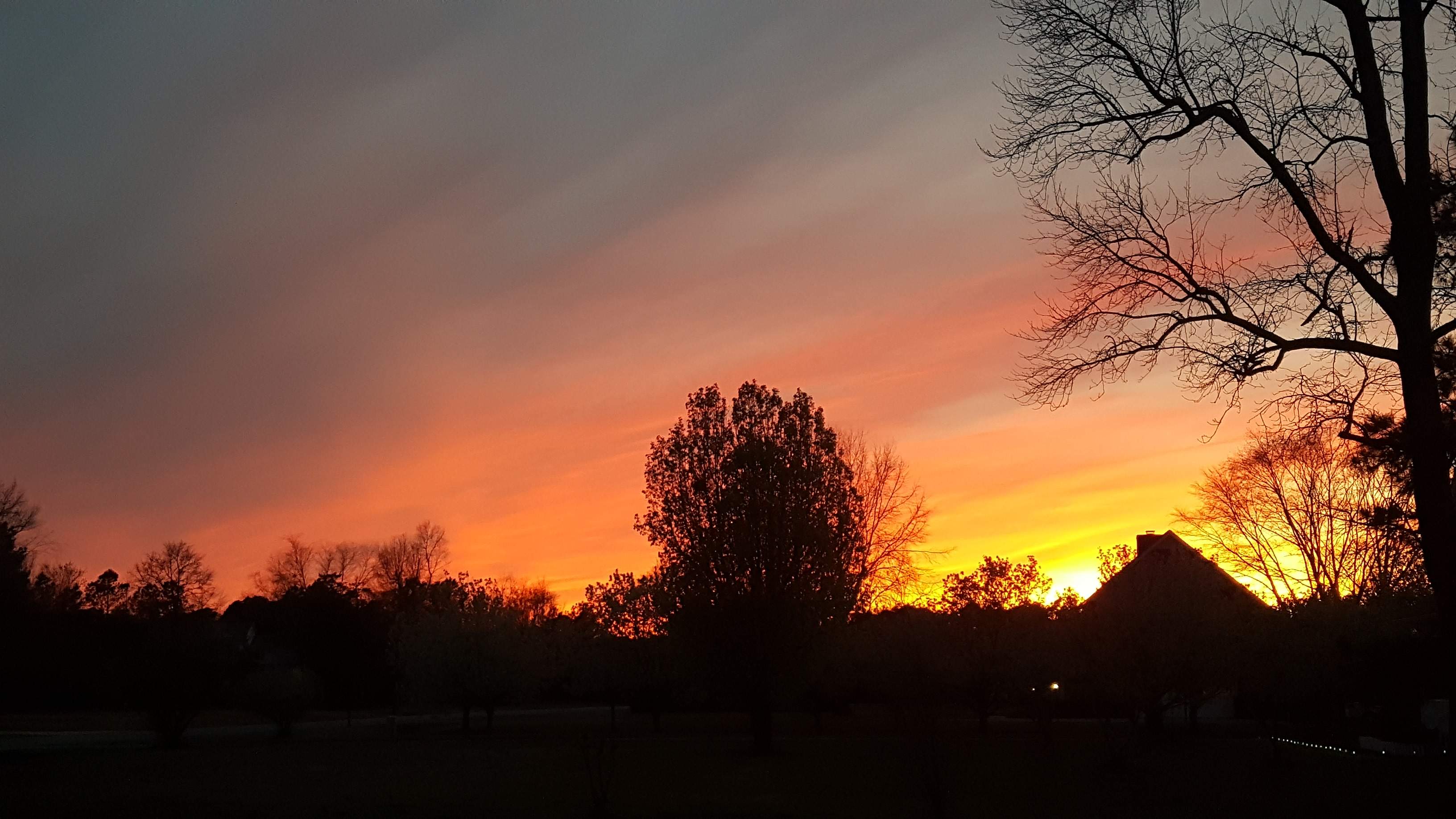 20170302_182214.jpg