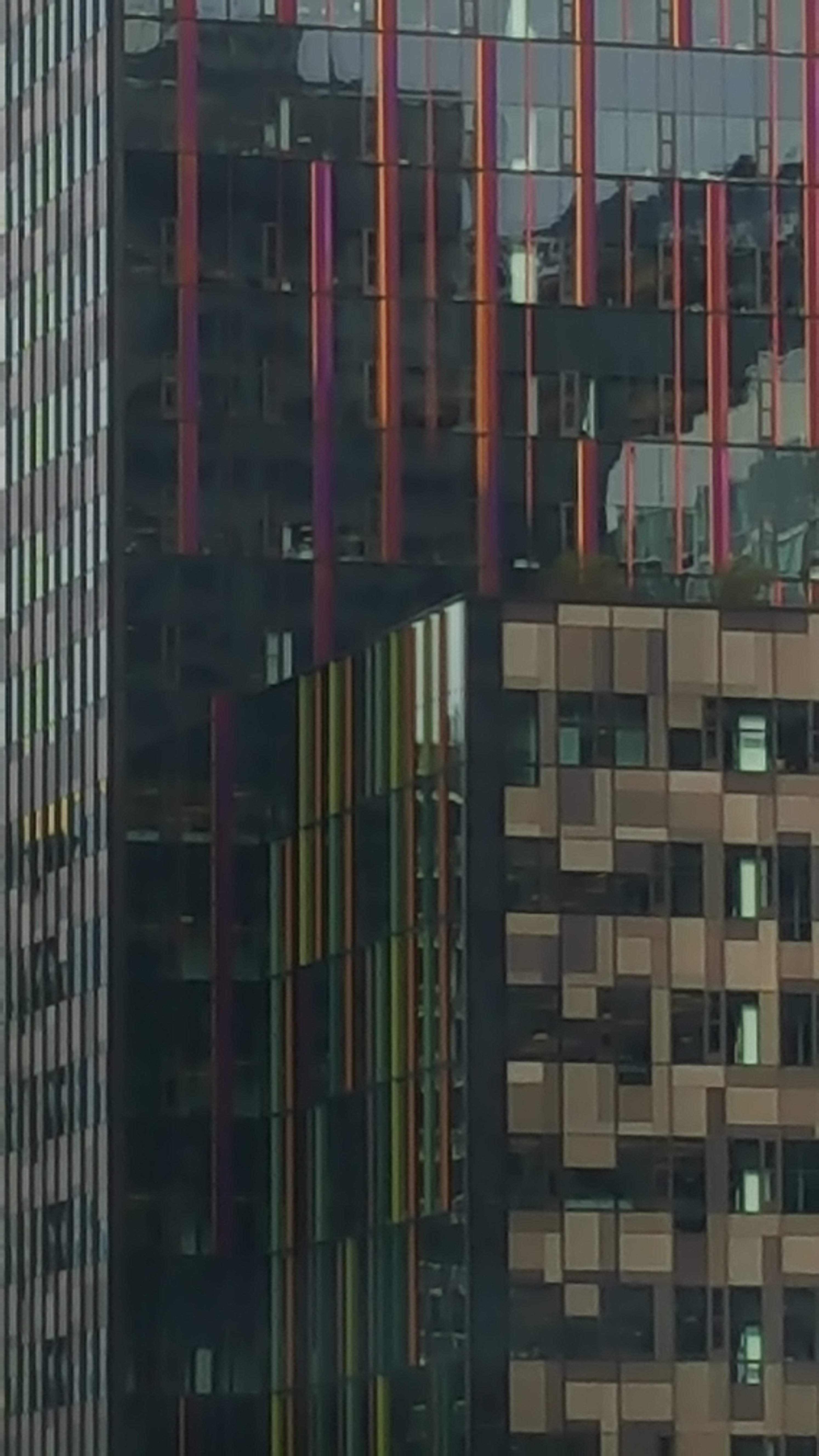 20170306_125417.jpg