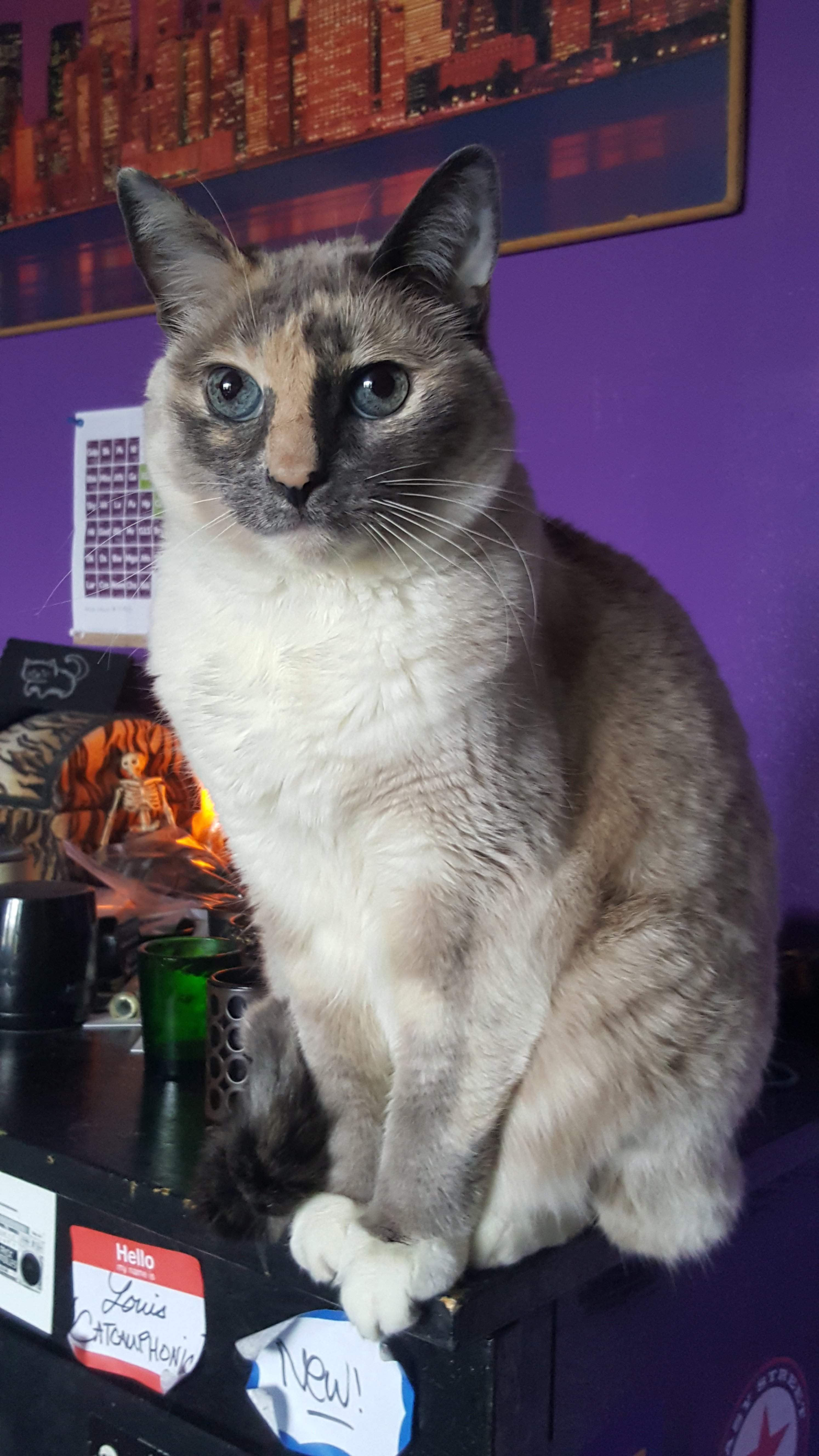 20170318_123147.jpg