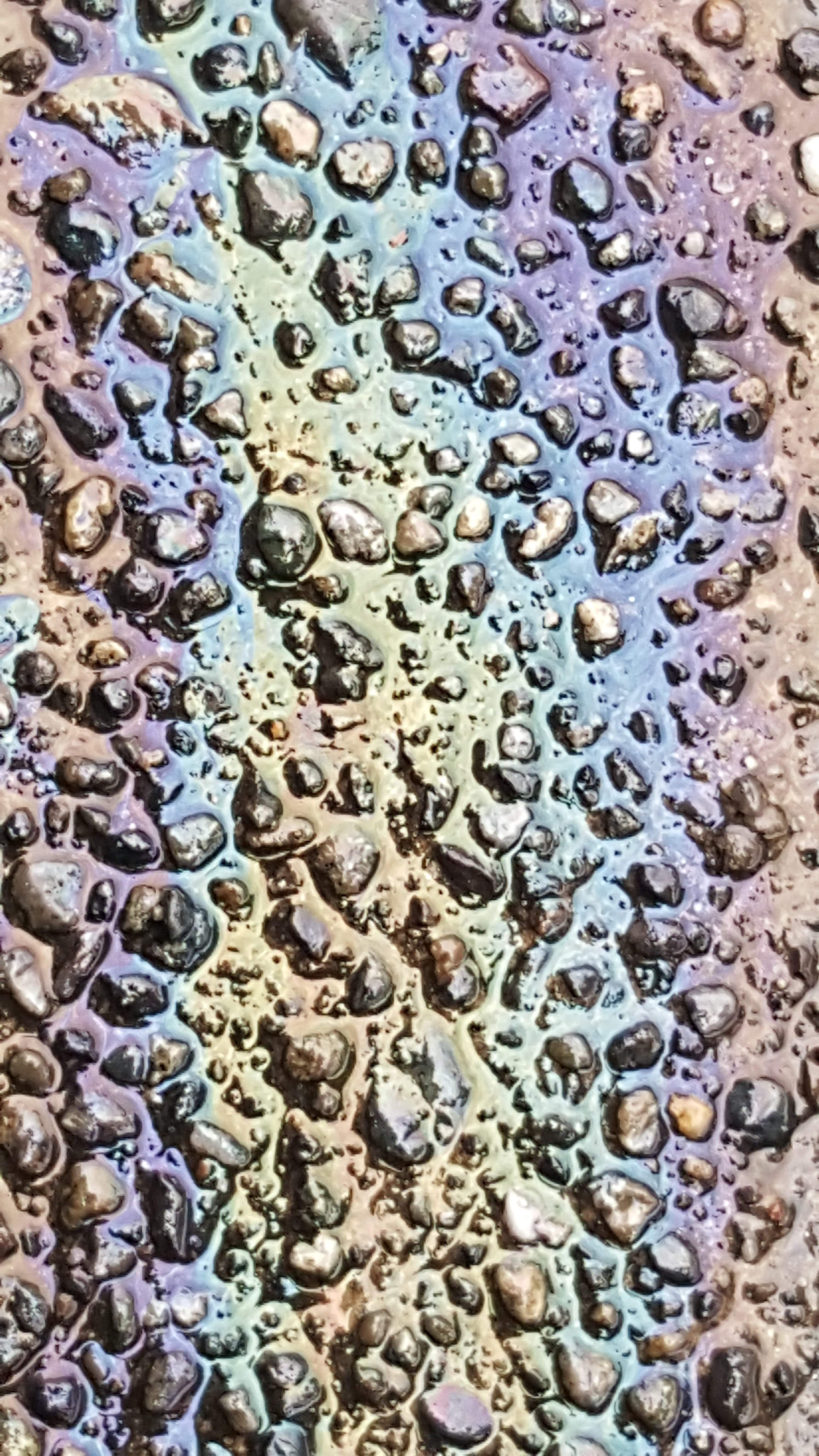 20170324_082152.jpg