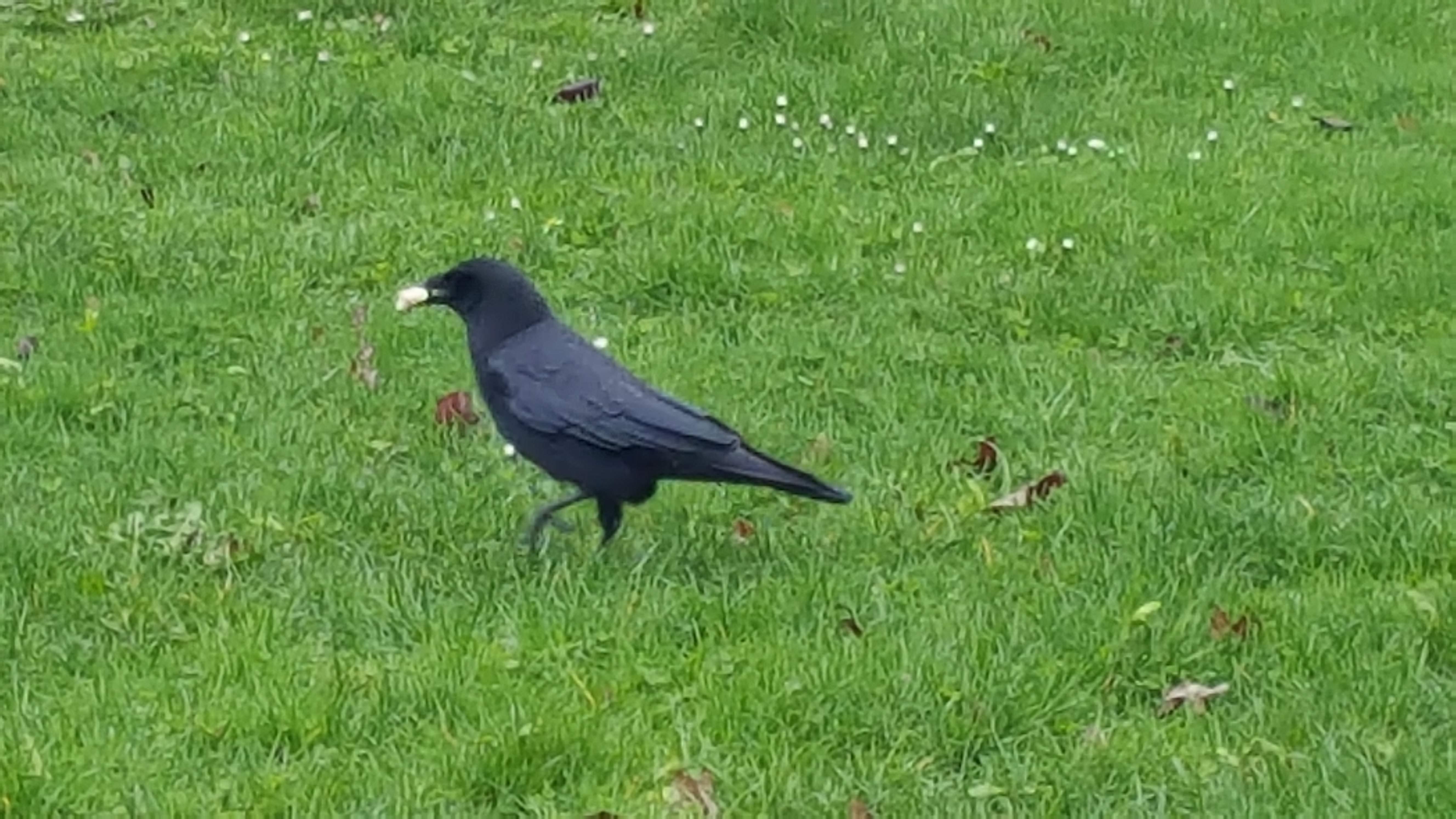 20170324_101558.jpg