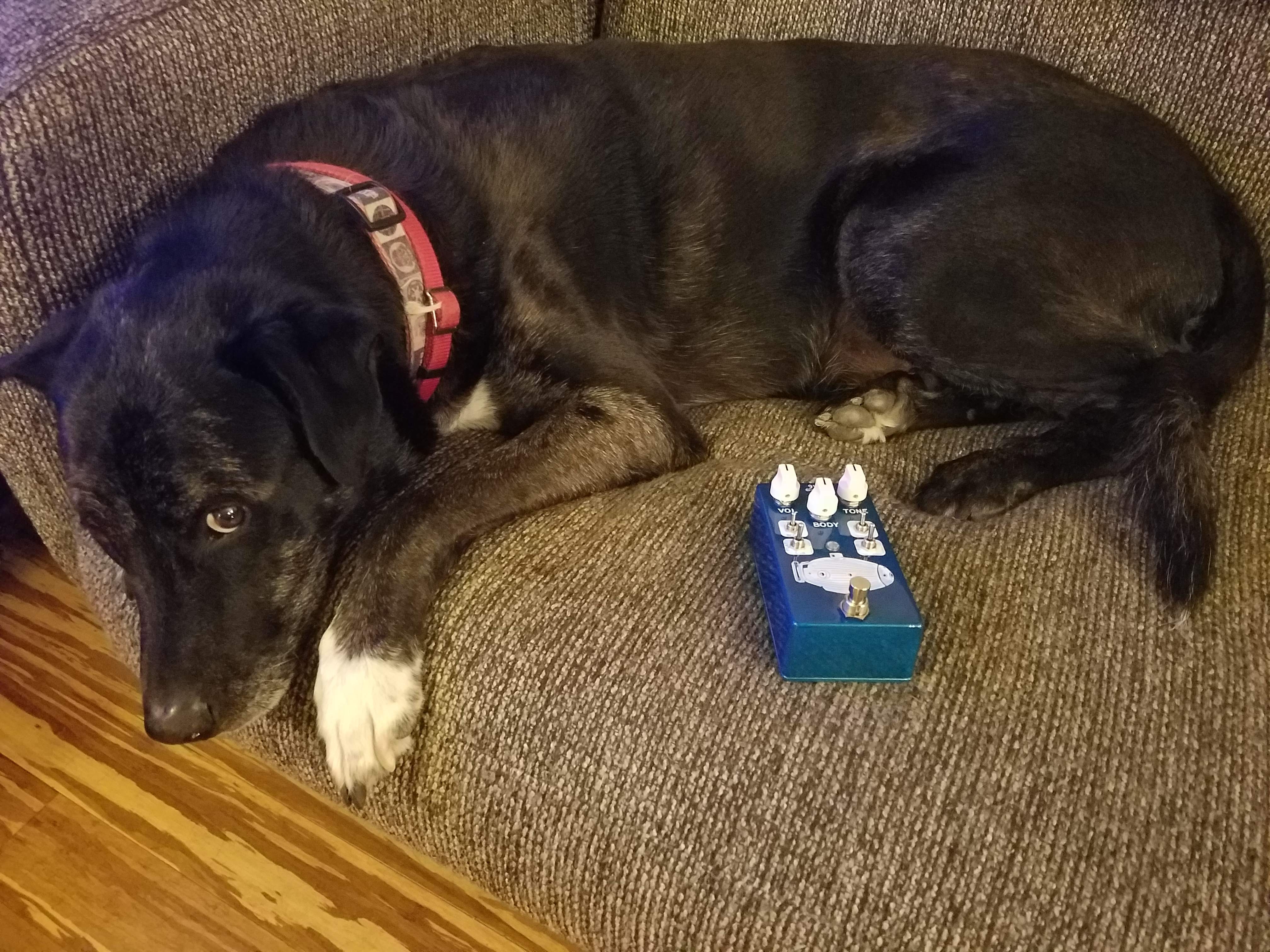 20170327_203922.jpg