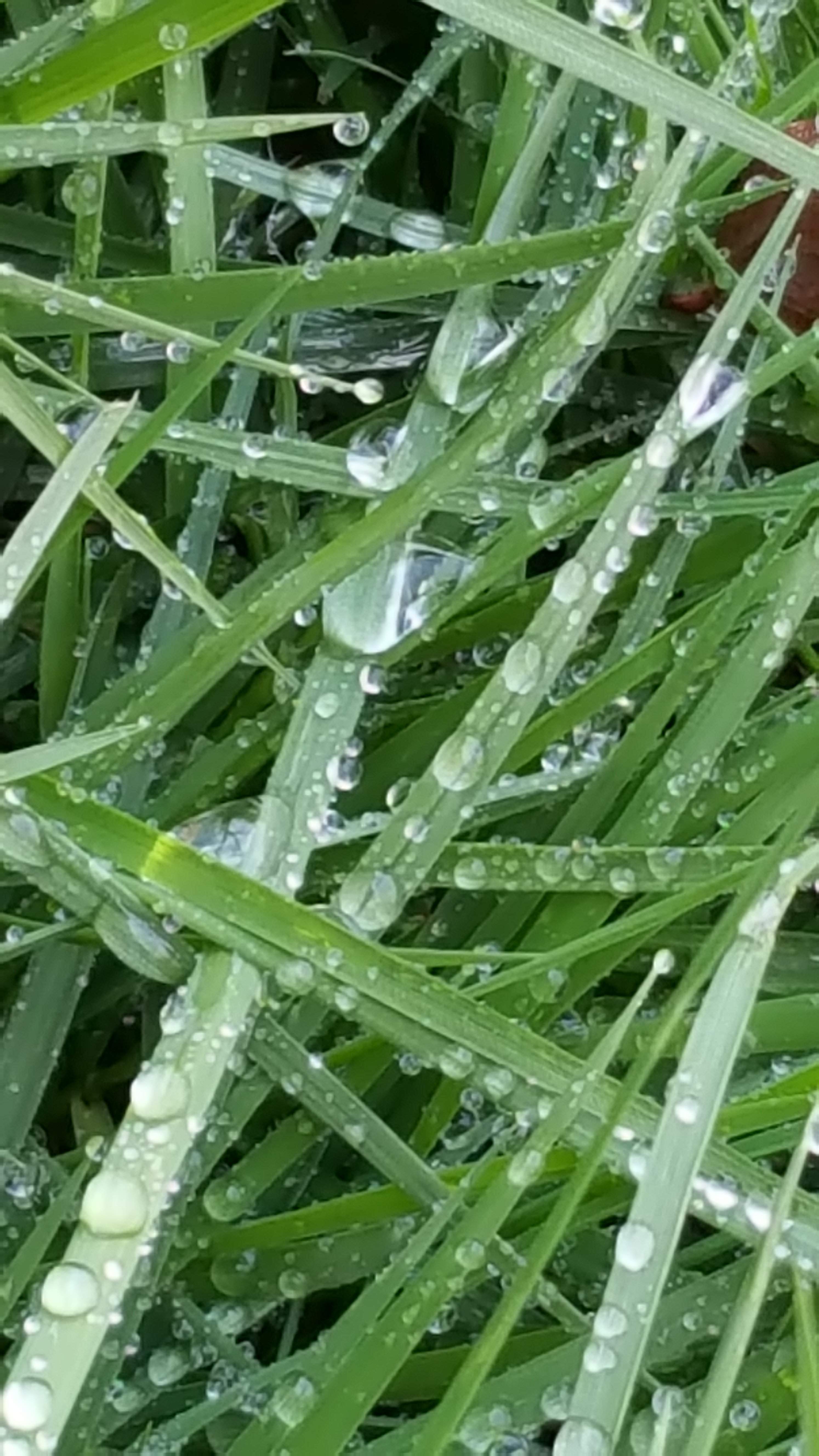 20170330_104123.jpg