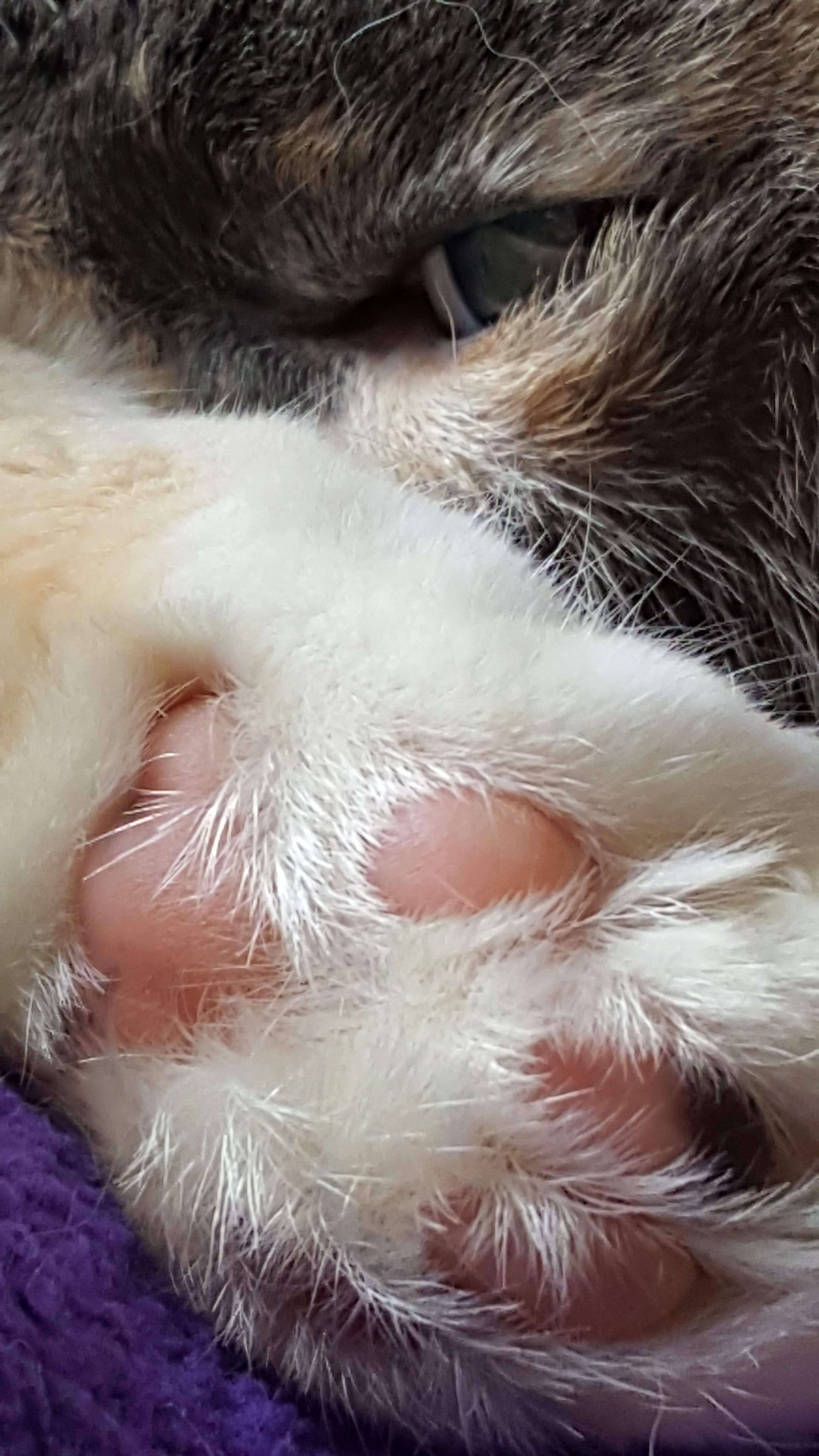 20170330_115135.jpg