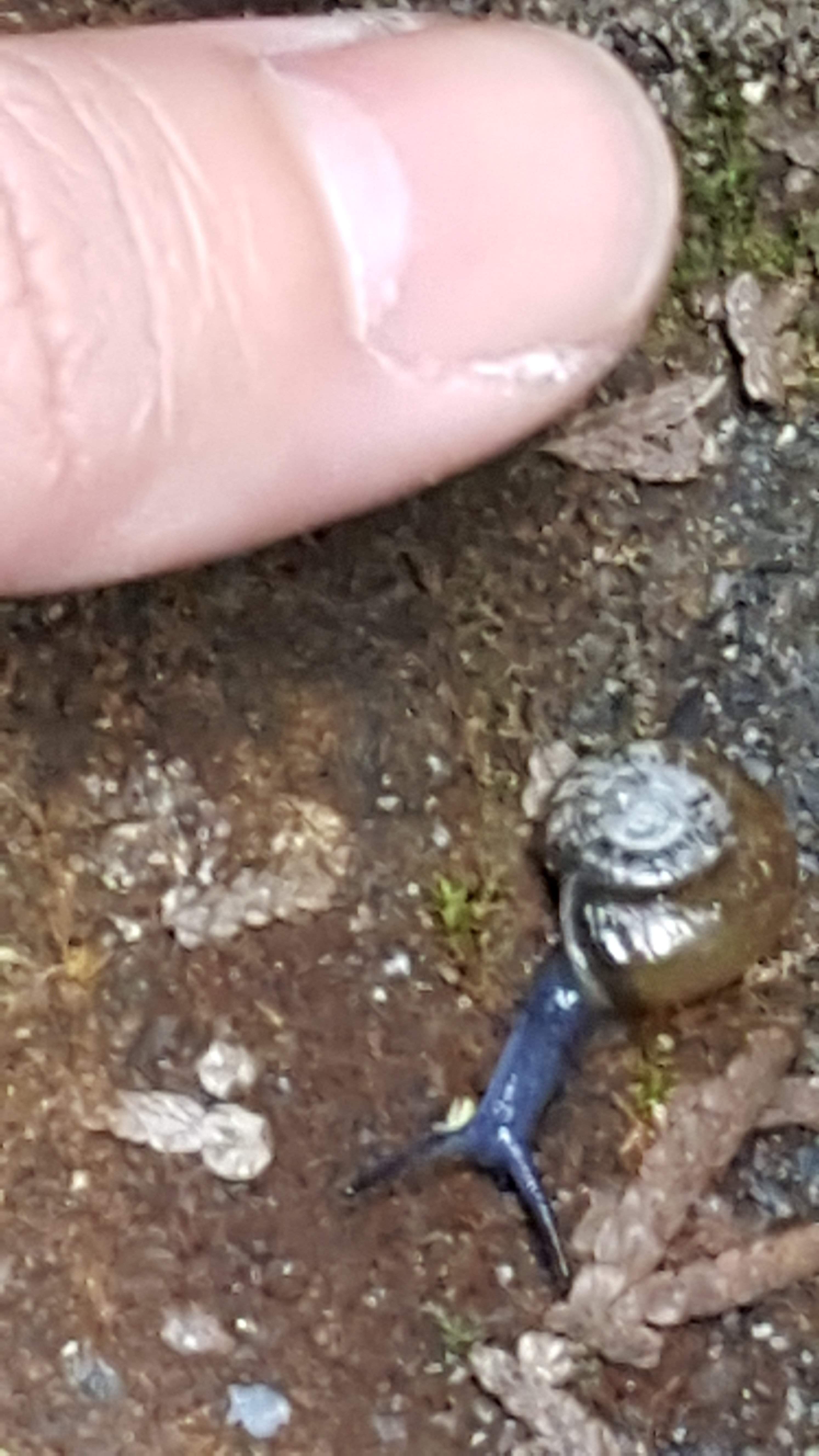 20170401_105539.jpg