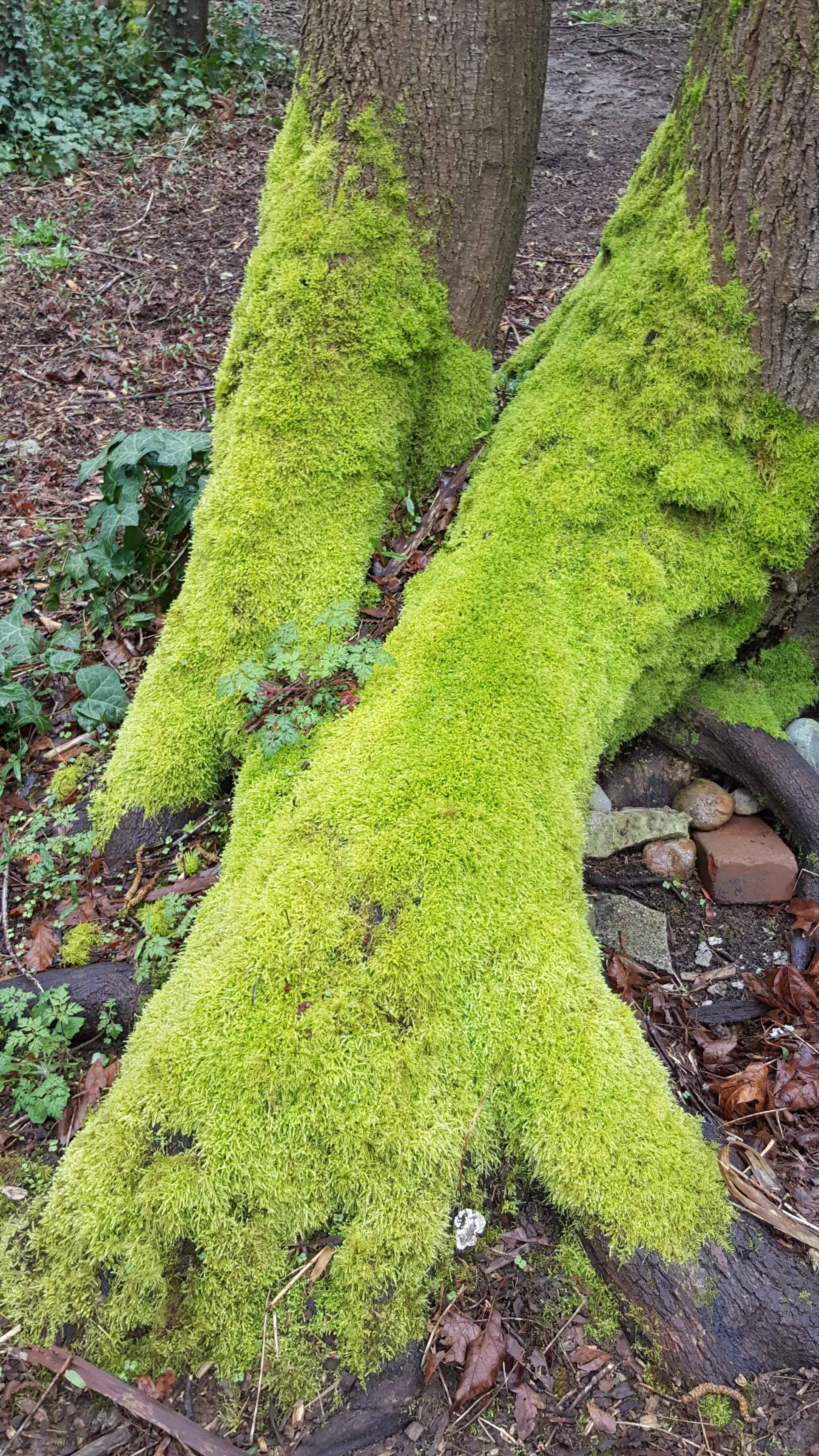 20170401_122039.jpg