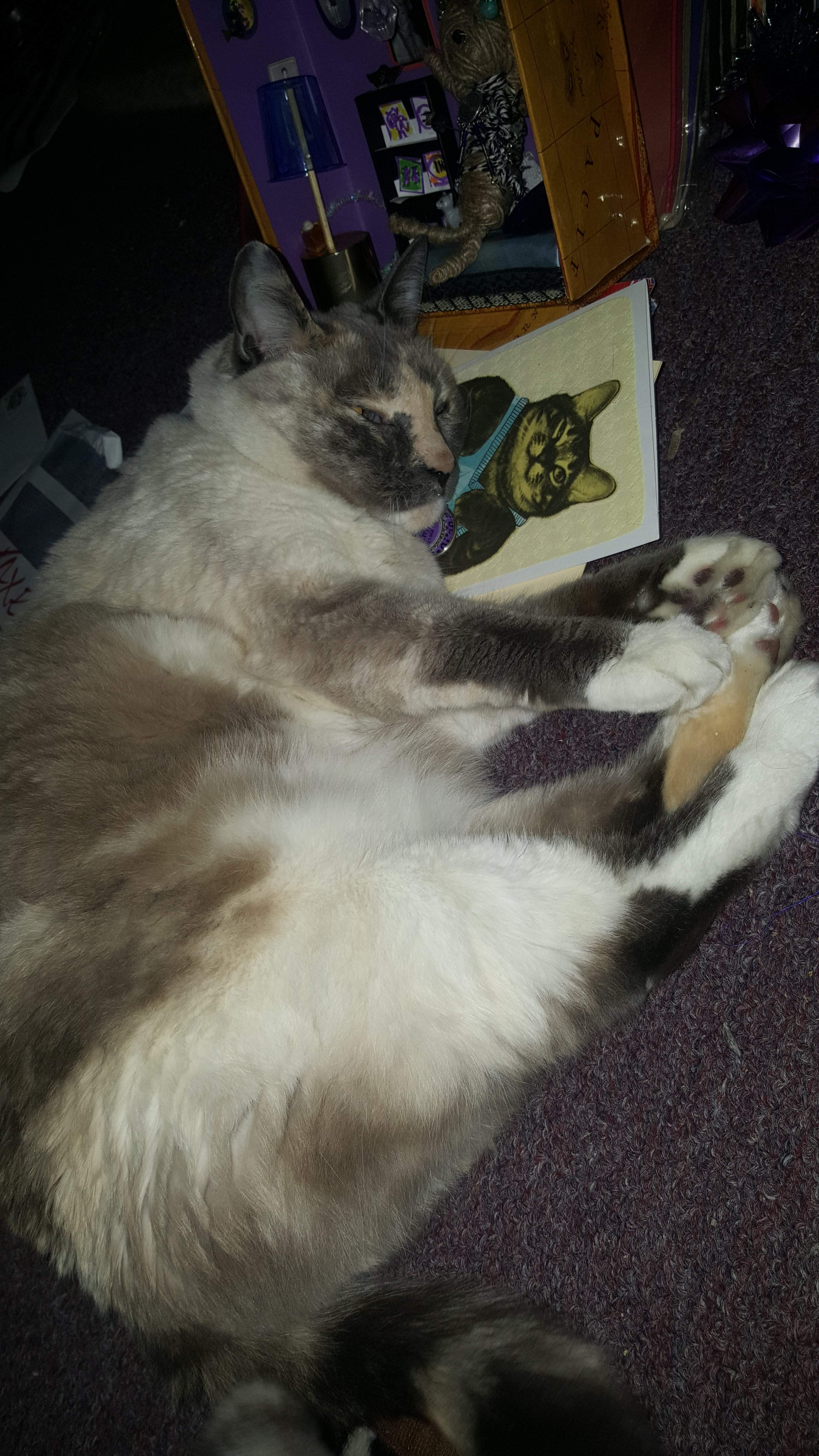 20170421_013536.jpg