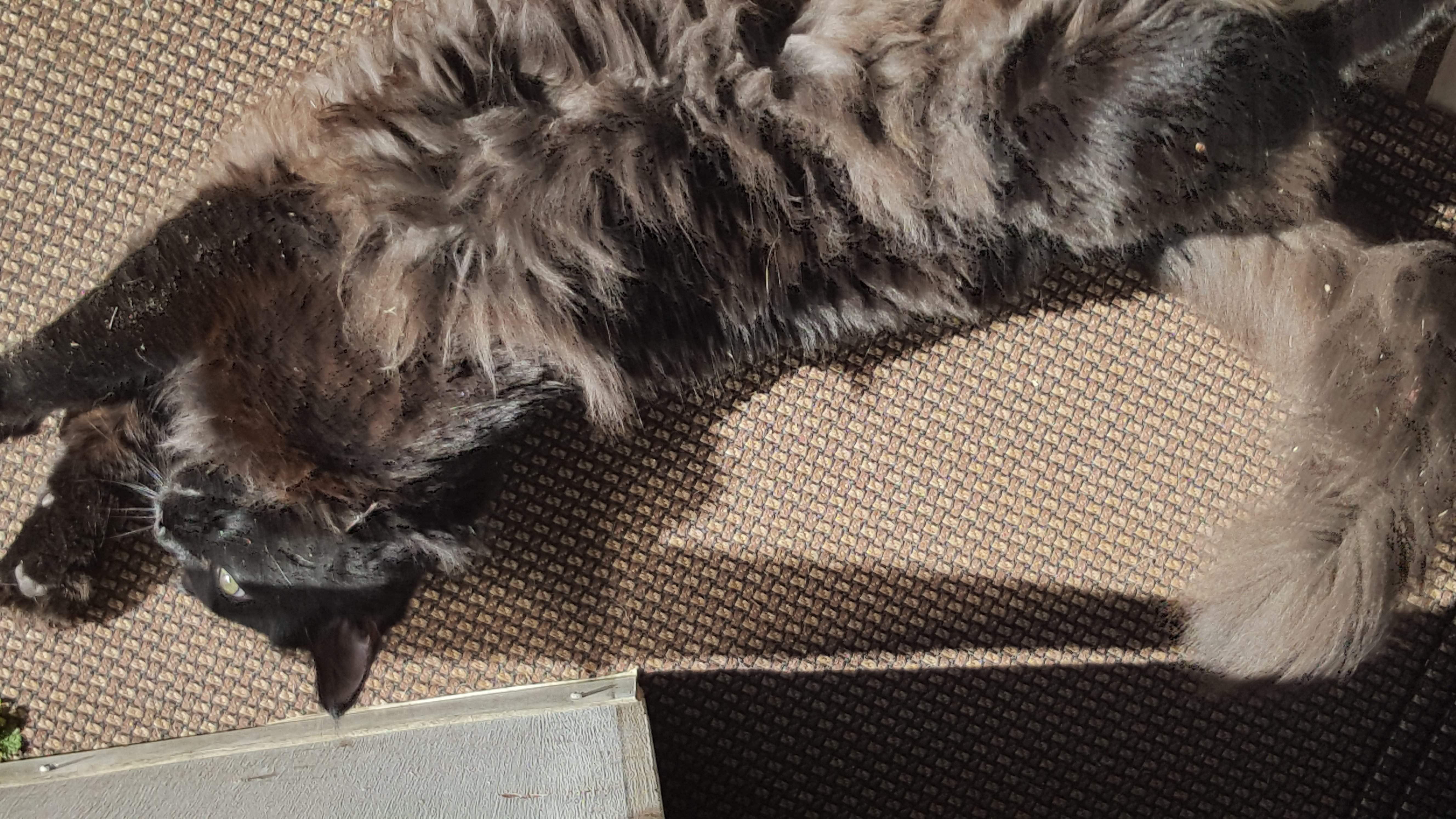 20170421_163823.jpg