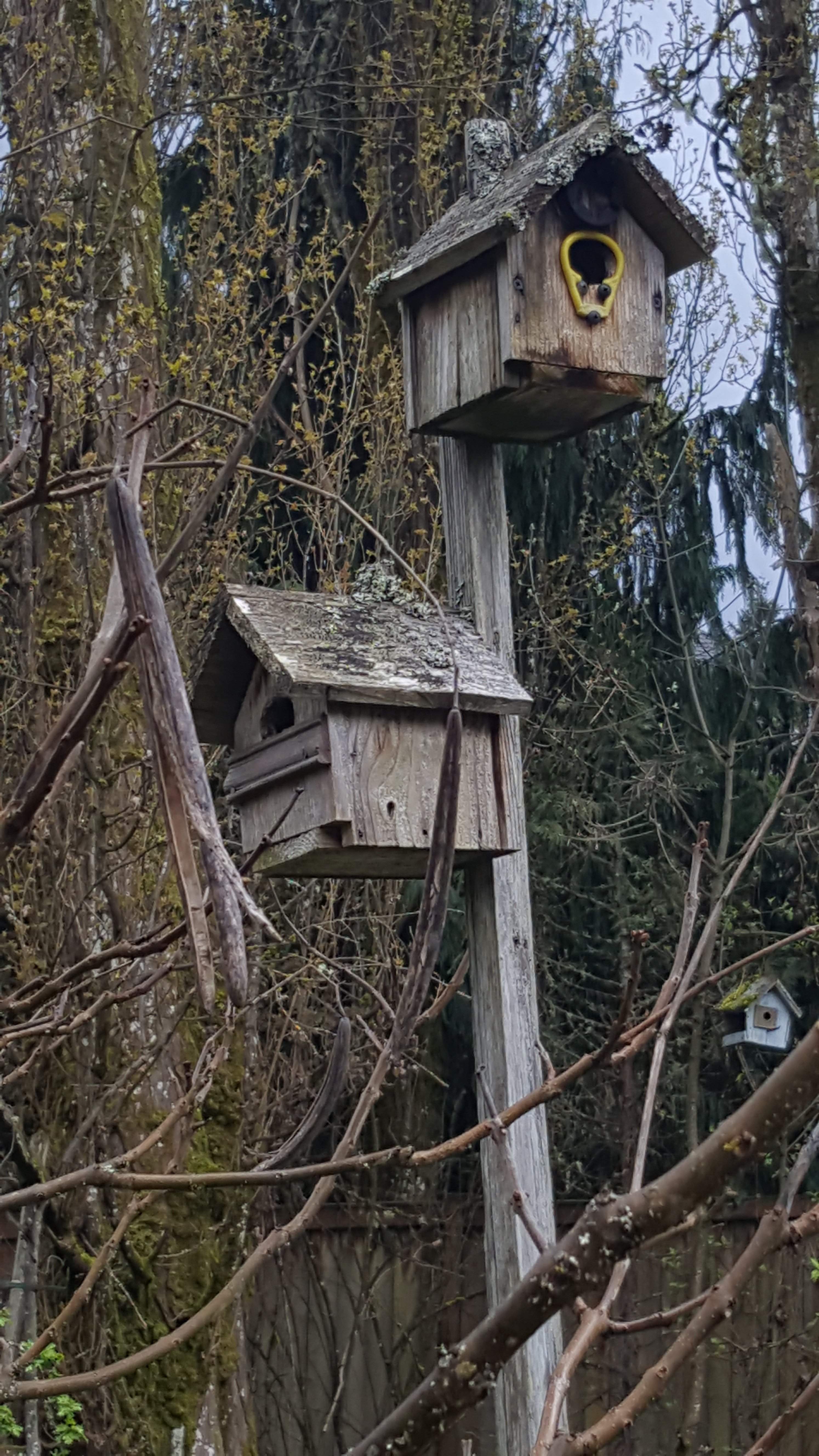 20170422_160521.jpg