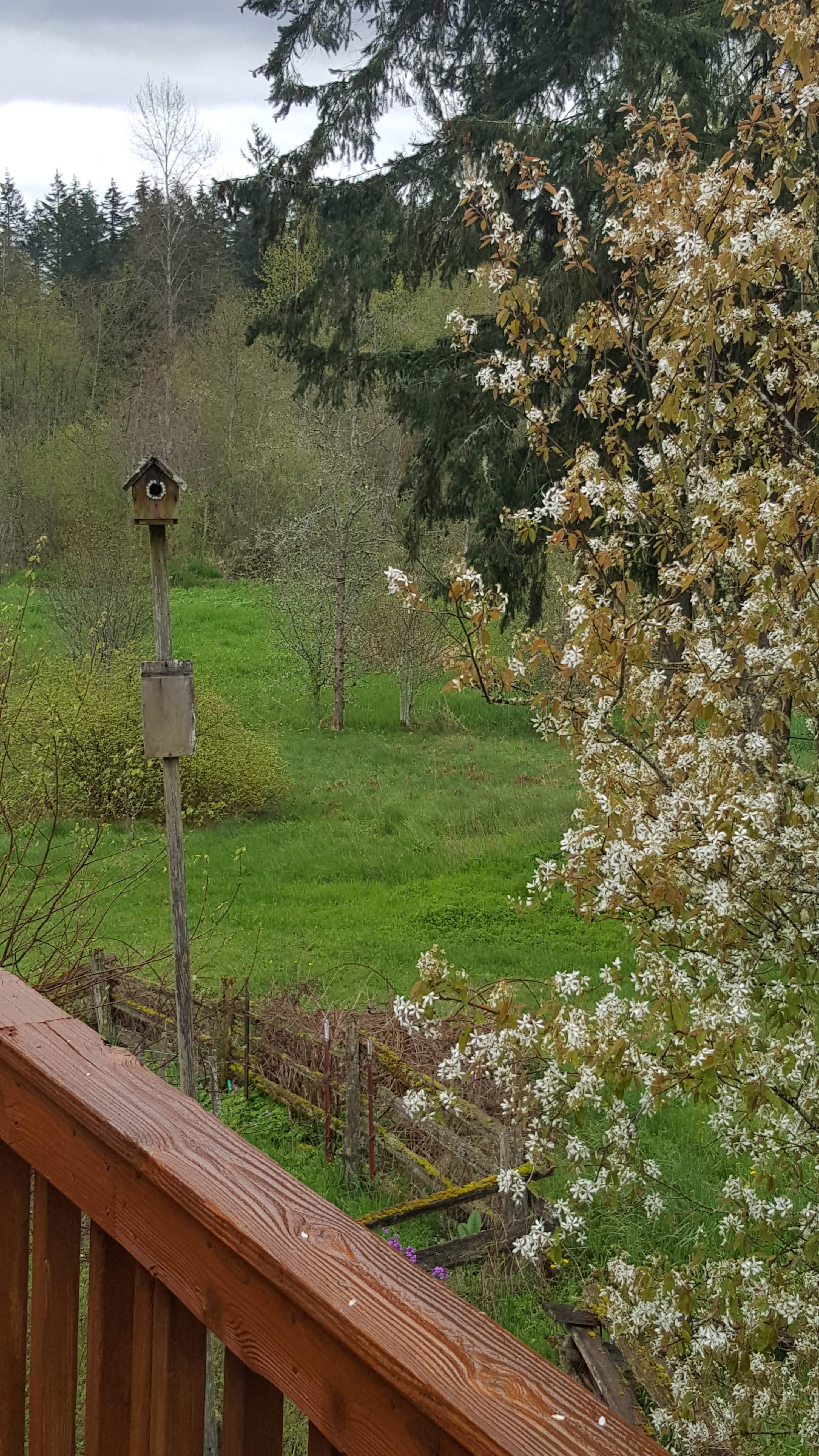 20170422_160549.jpg