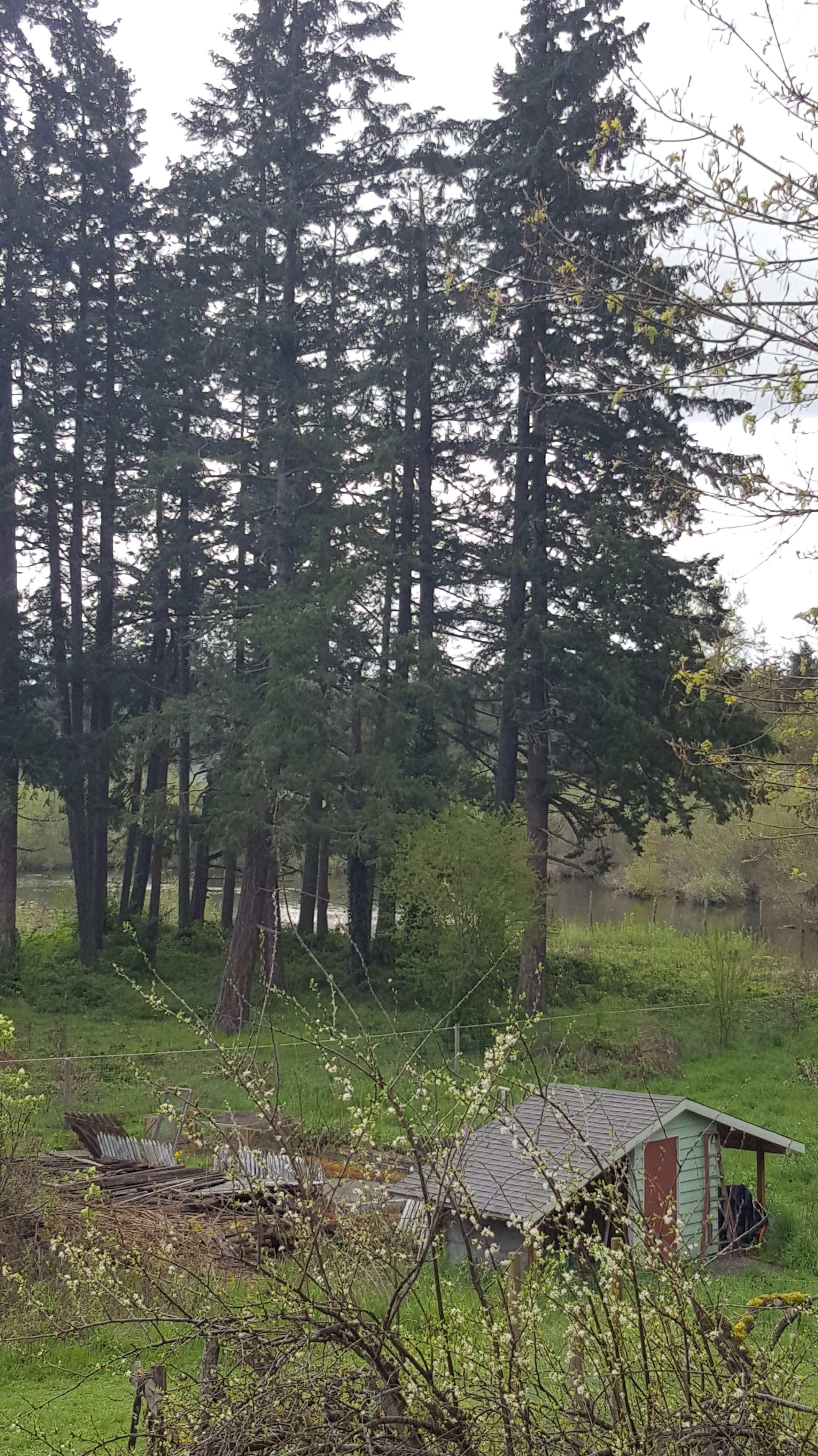 20170422_160754.jpg