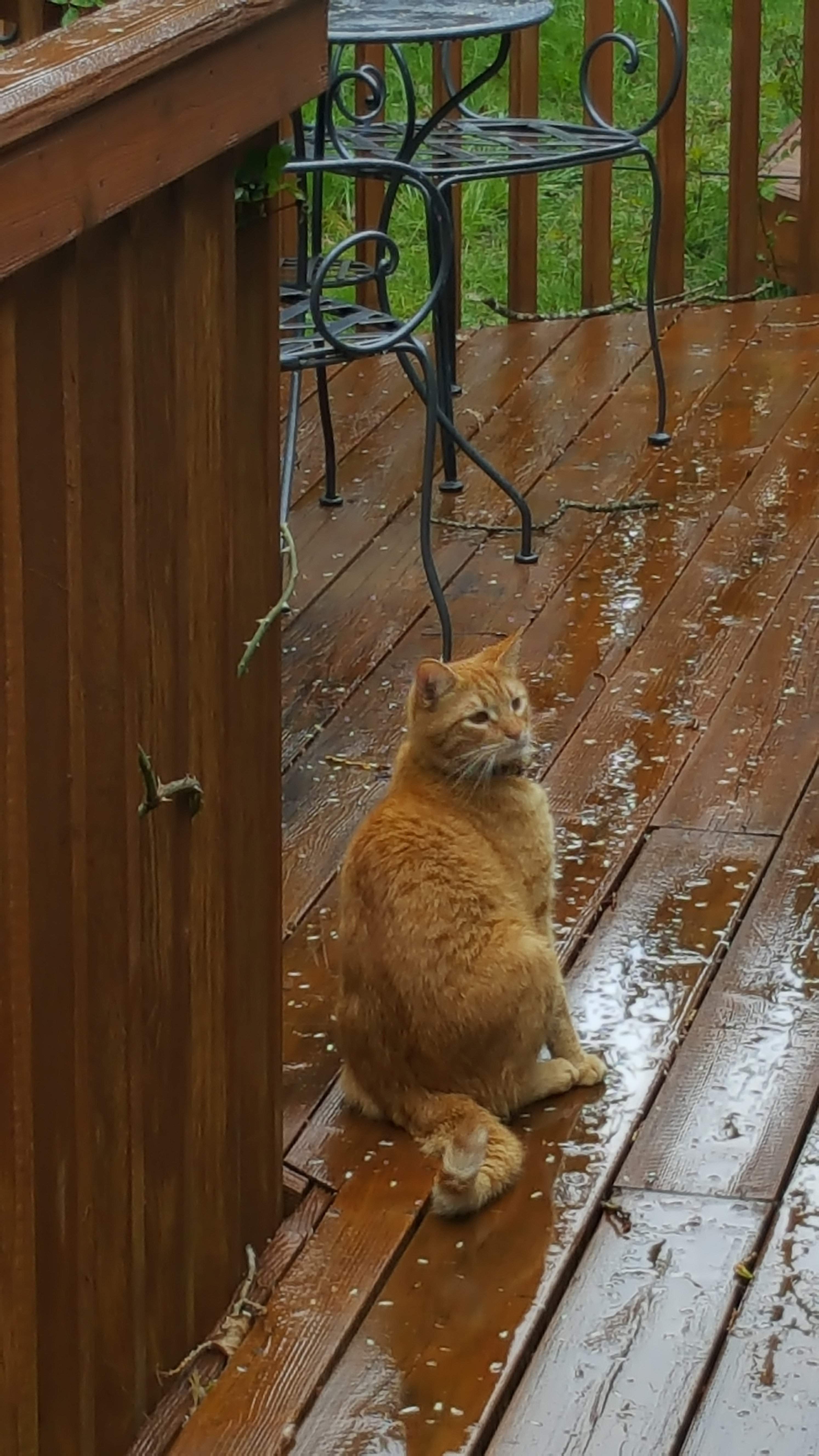 20170422_160935.jpg