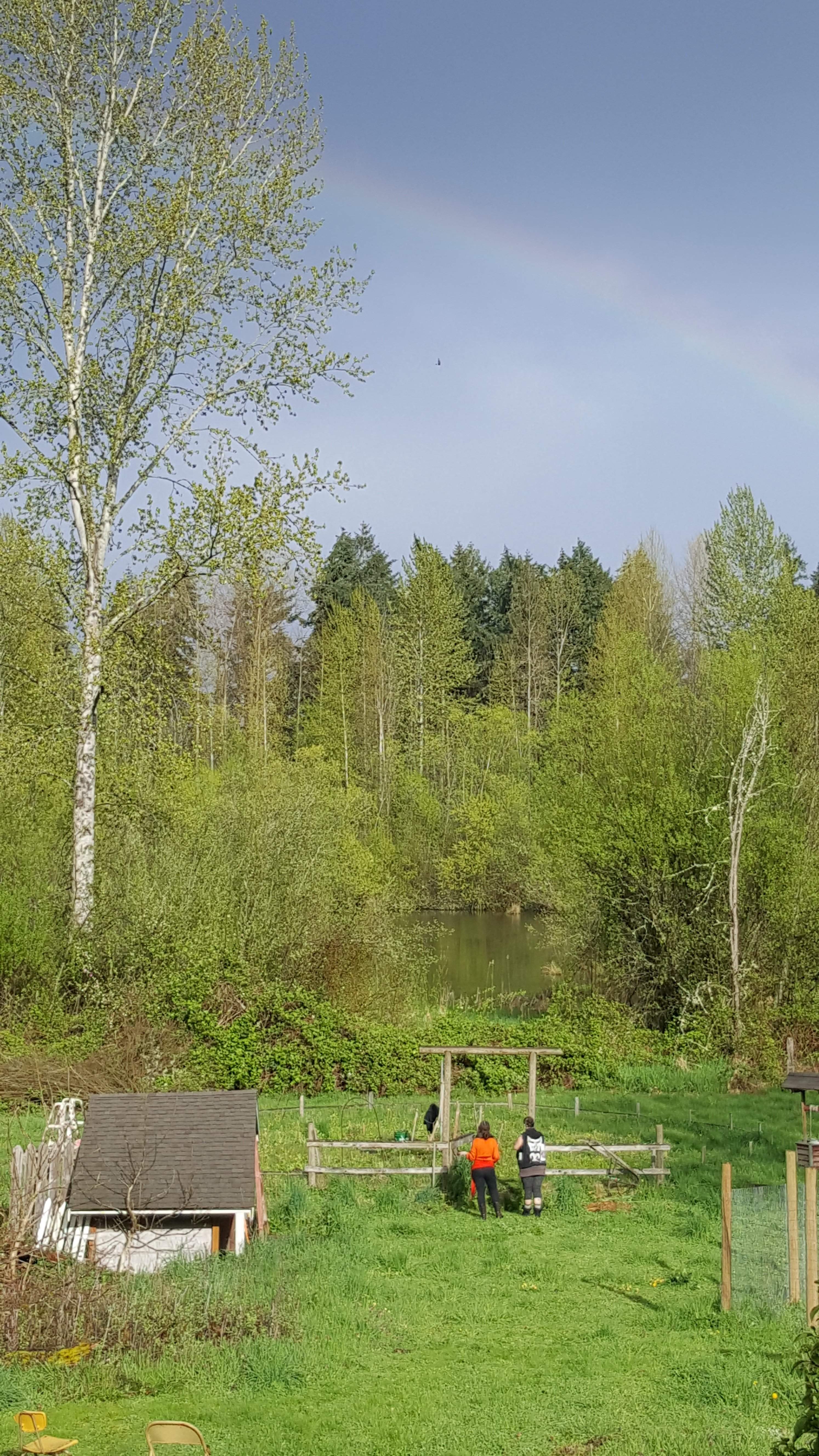20170422_174235.jpg