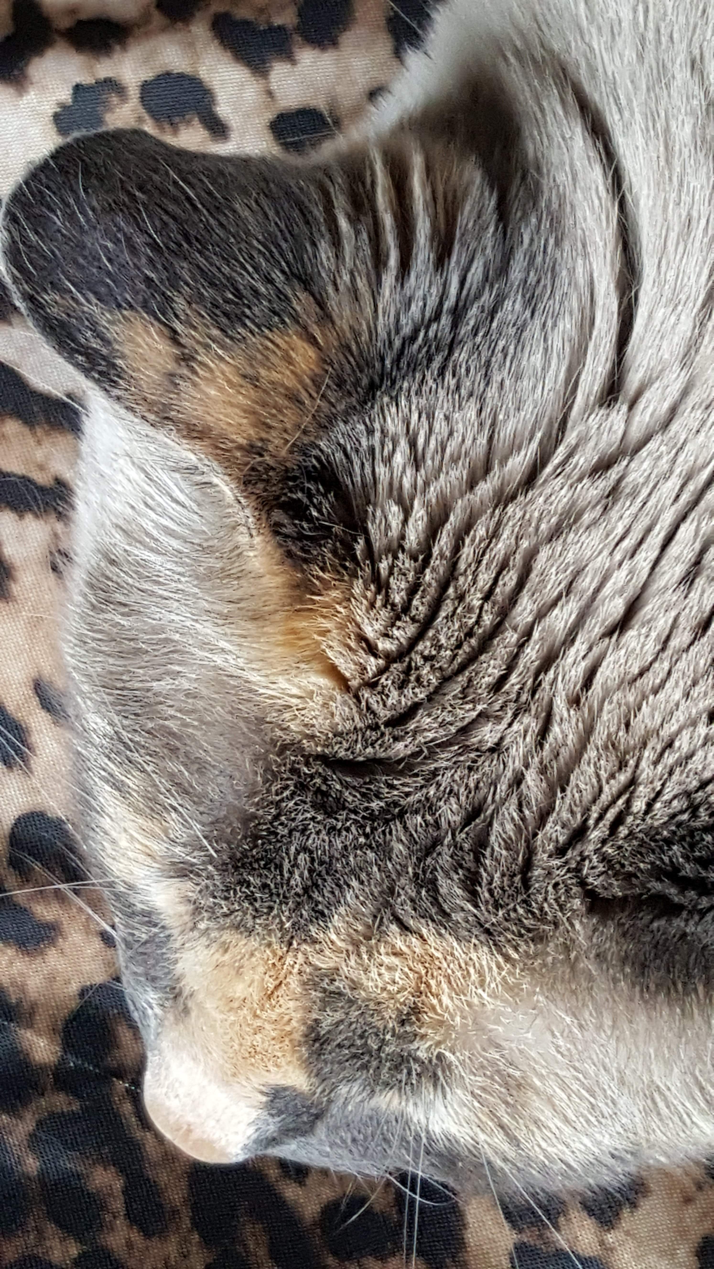 20170429_165141.jpg