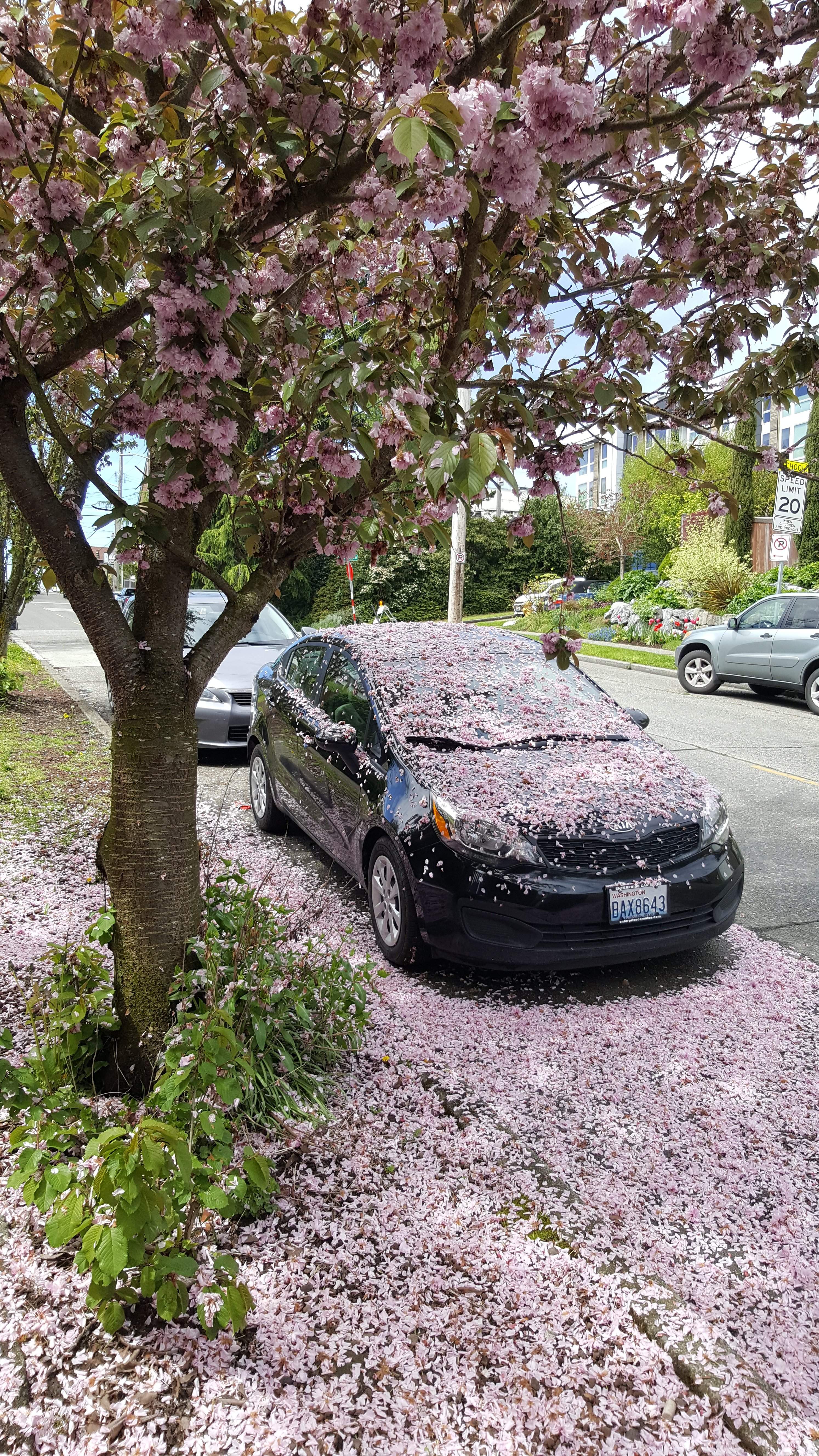 20170503_124222.jpg