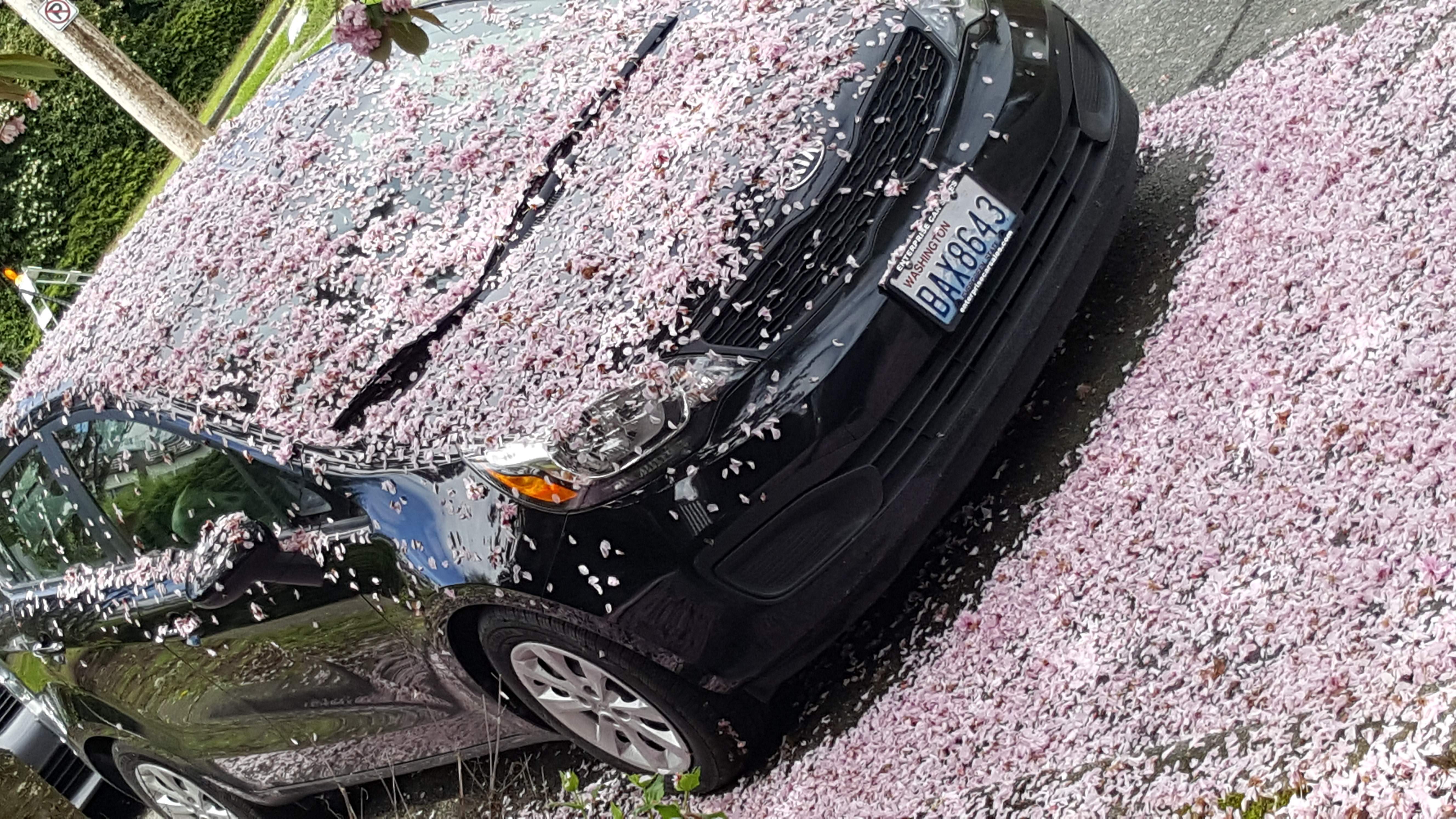 20170503_124242.jpg
