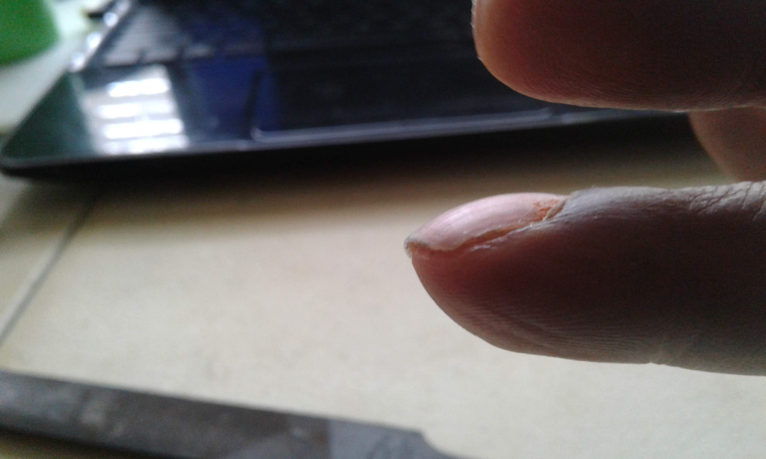 20170503_134055.jpg