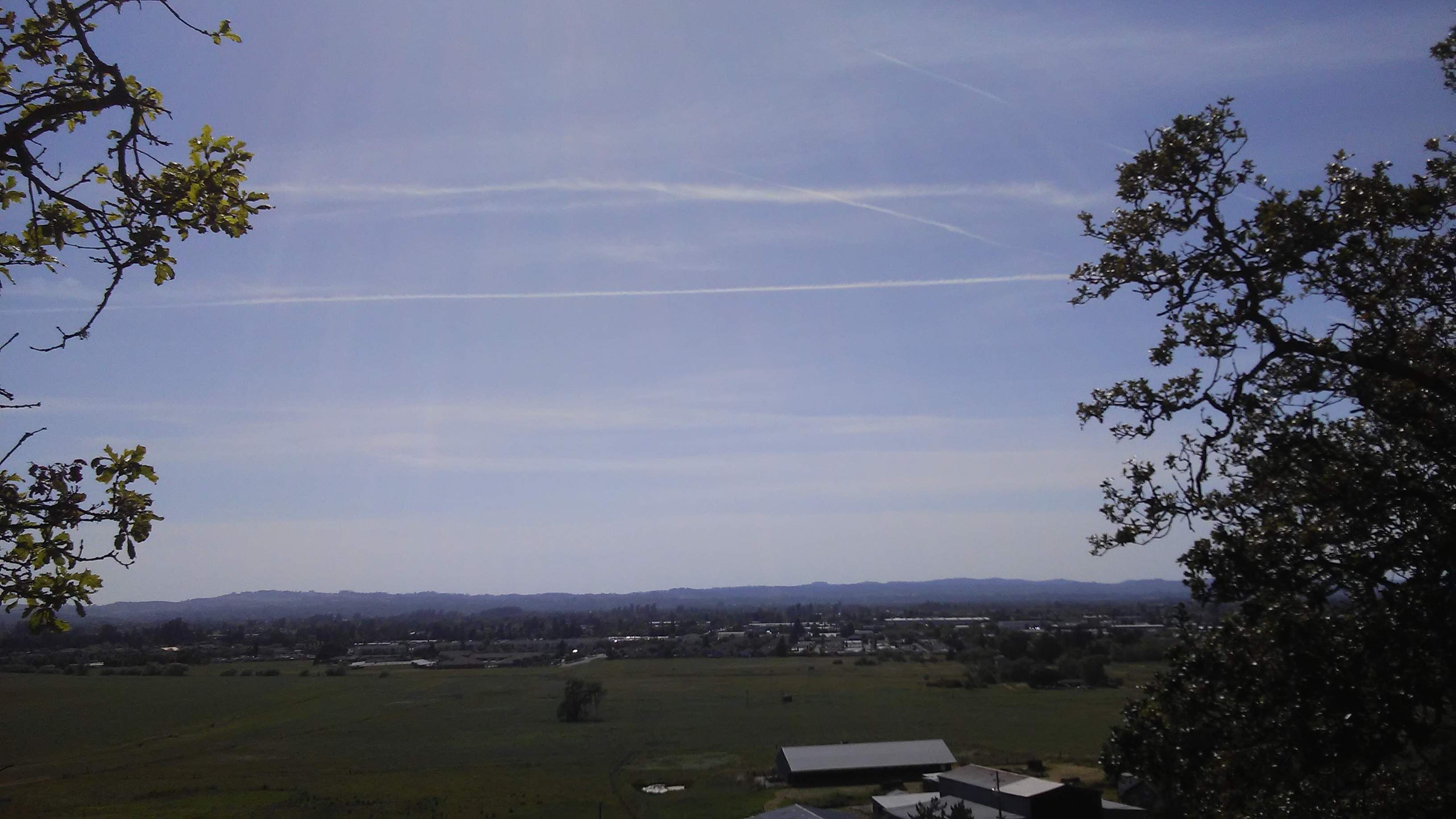 20170507_160346.jpg