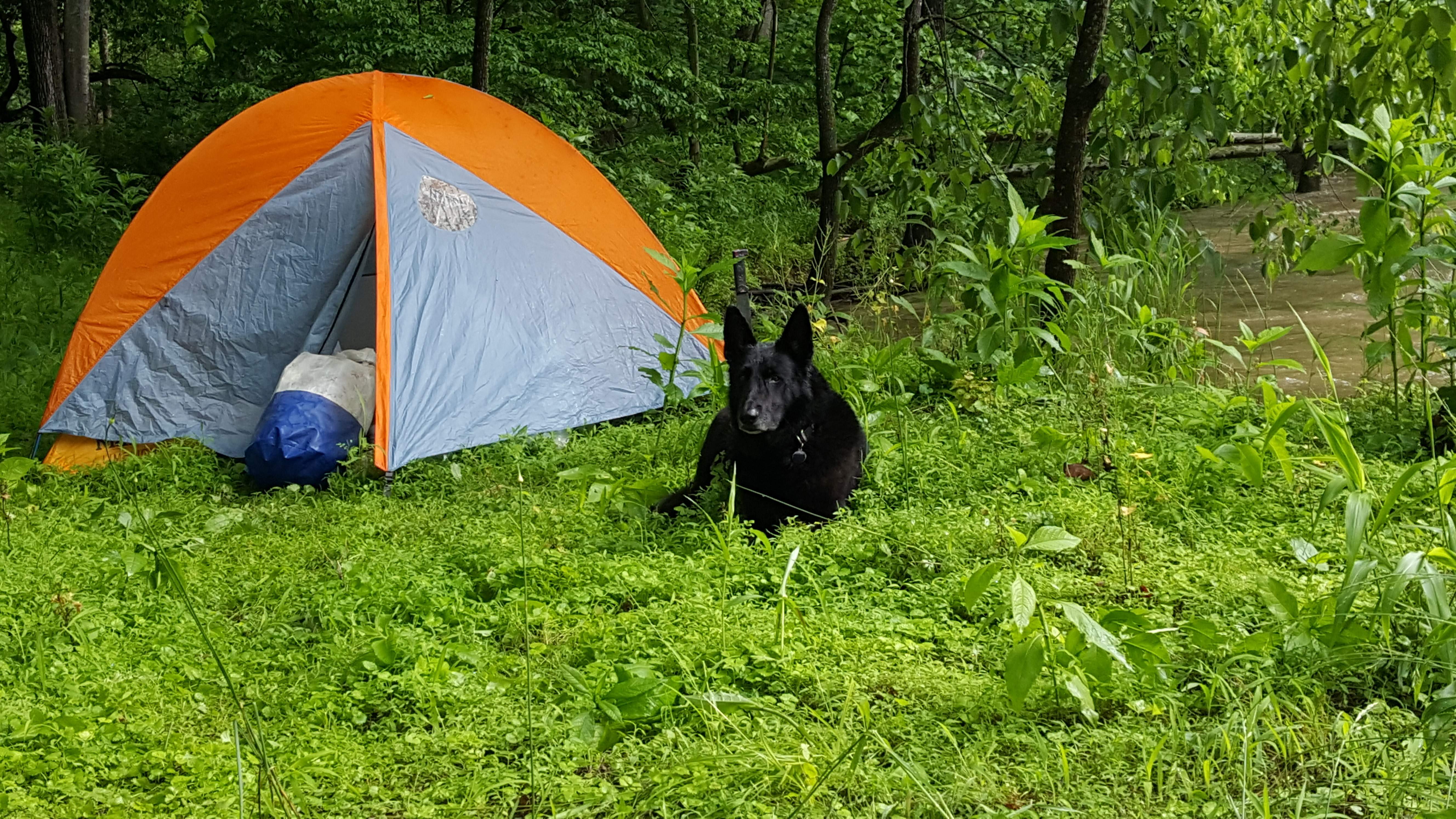 20170528_081456.jpg