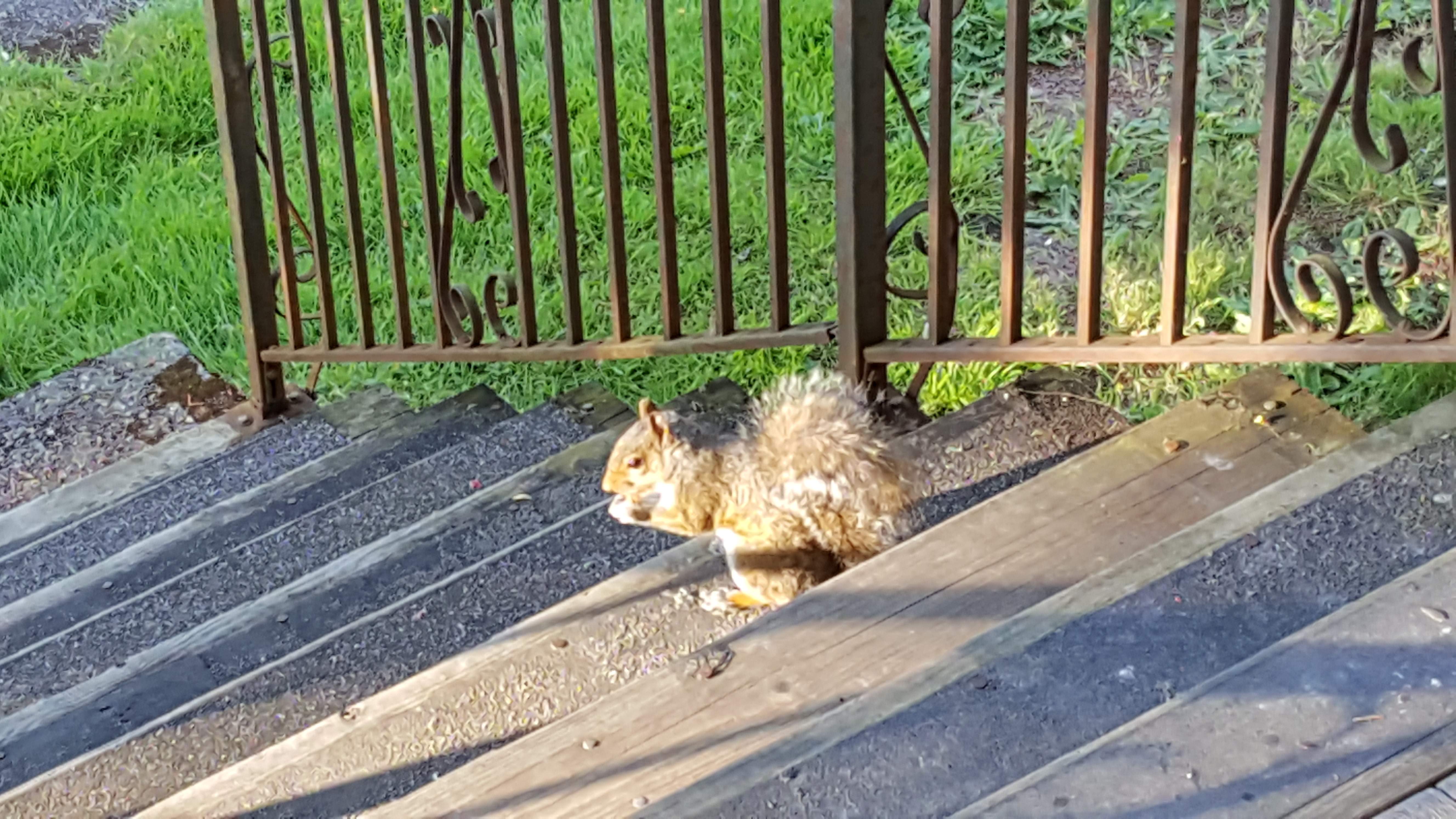 20170529_190240.jpg