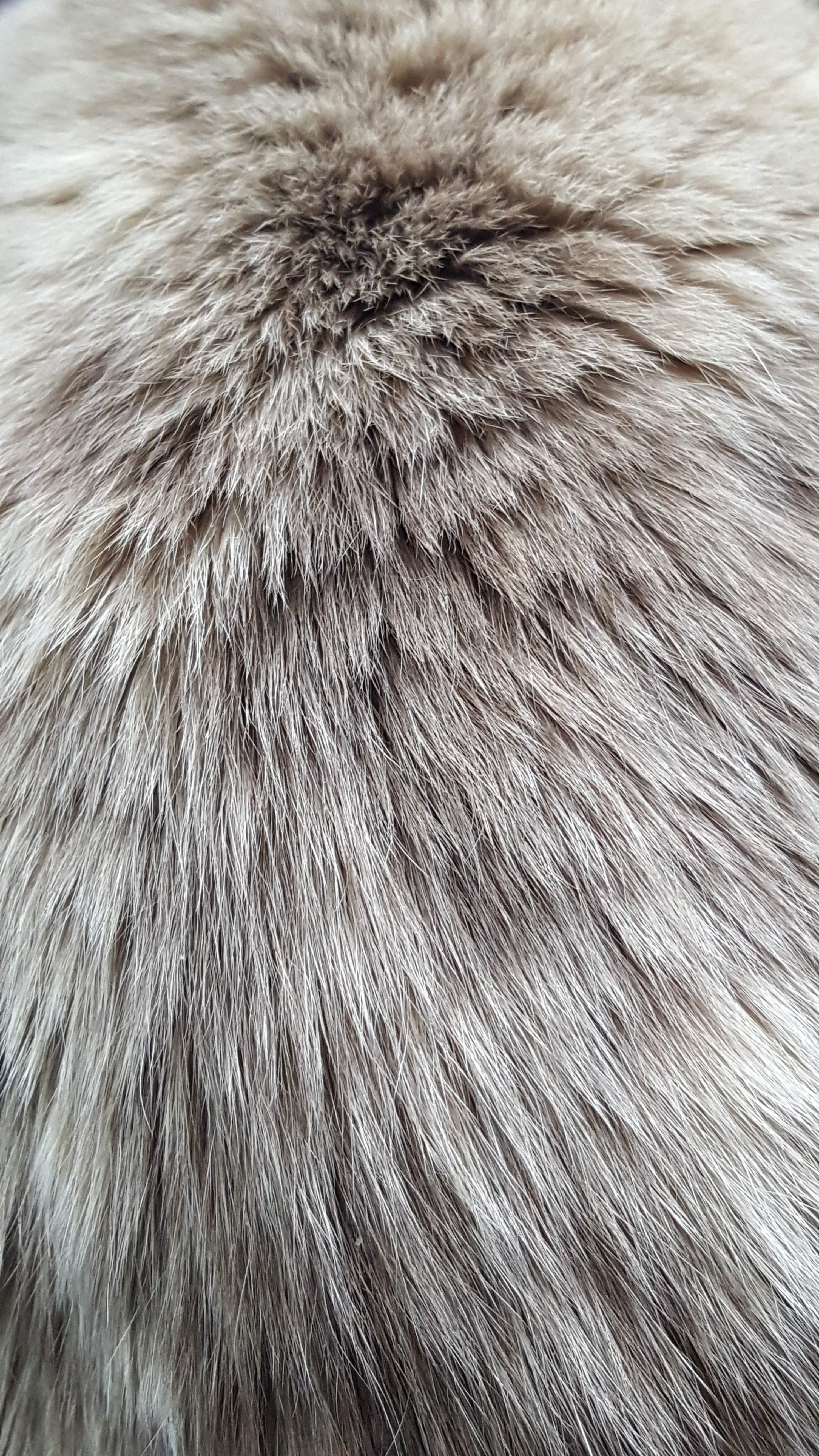 20170530_161920.jpg