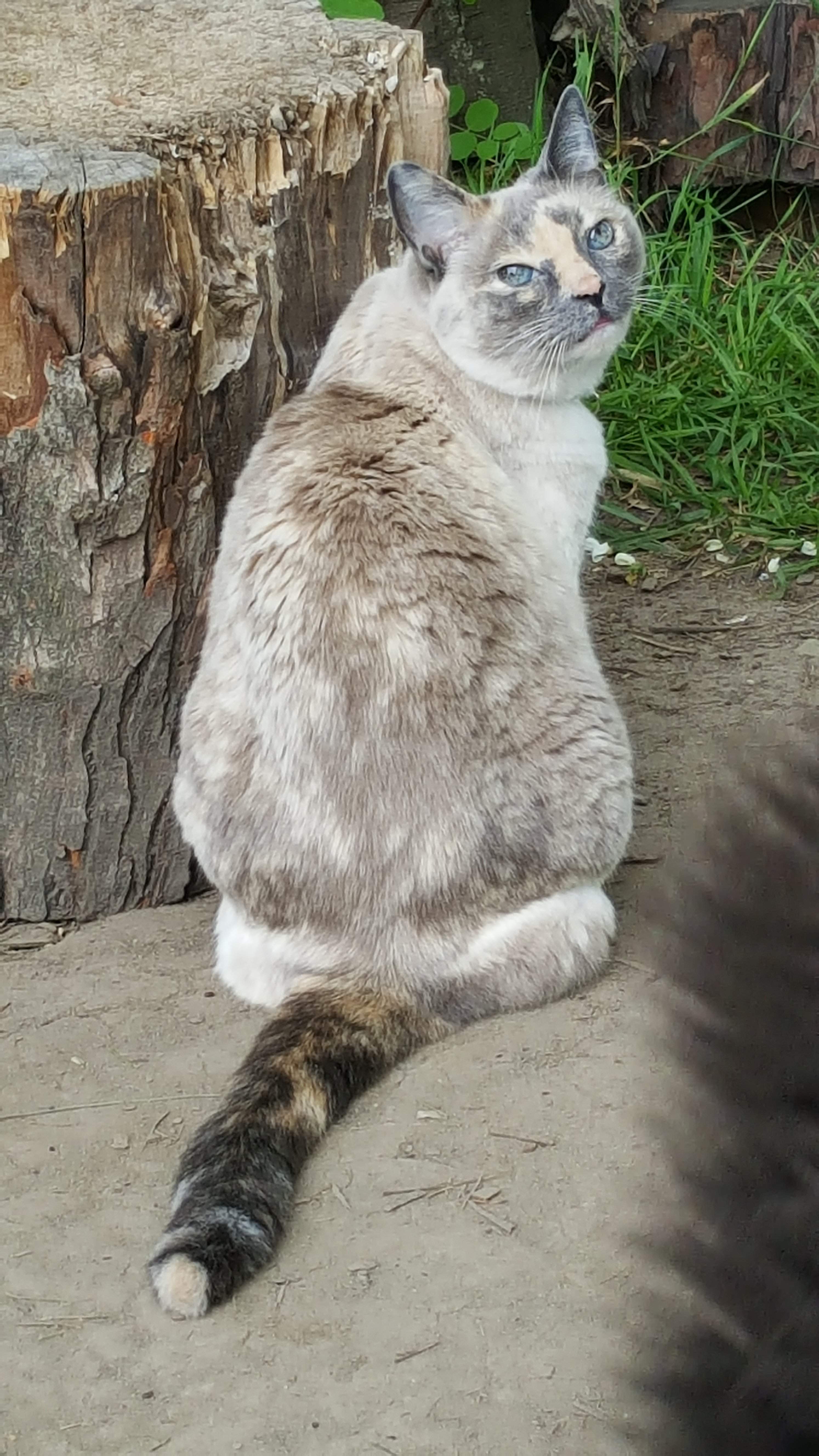20170602_093537.jpg